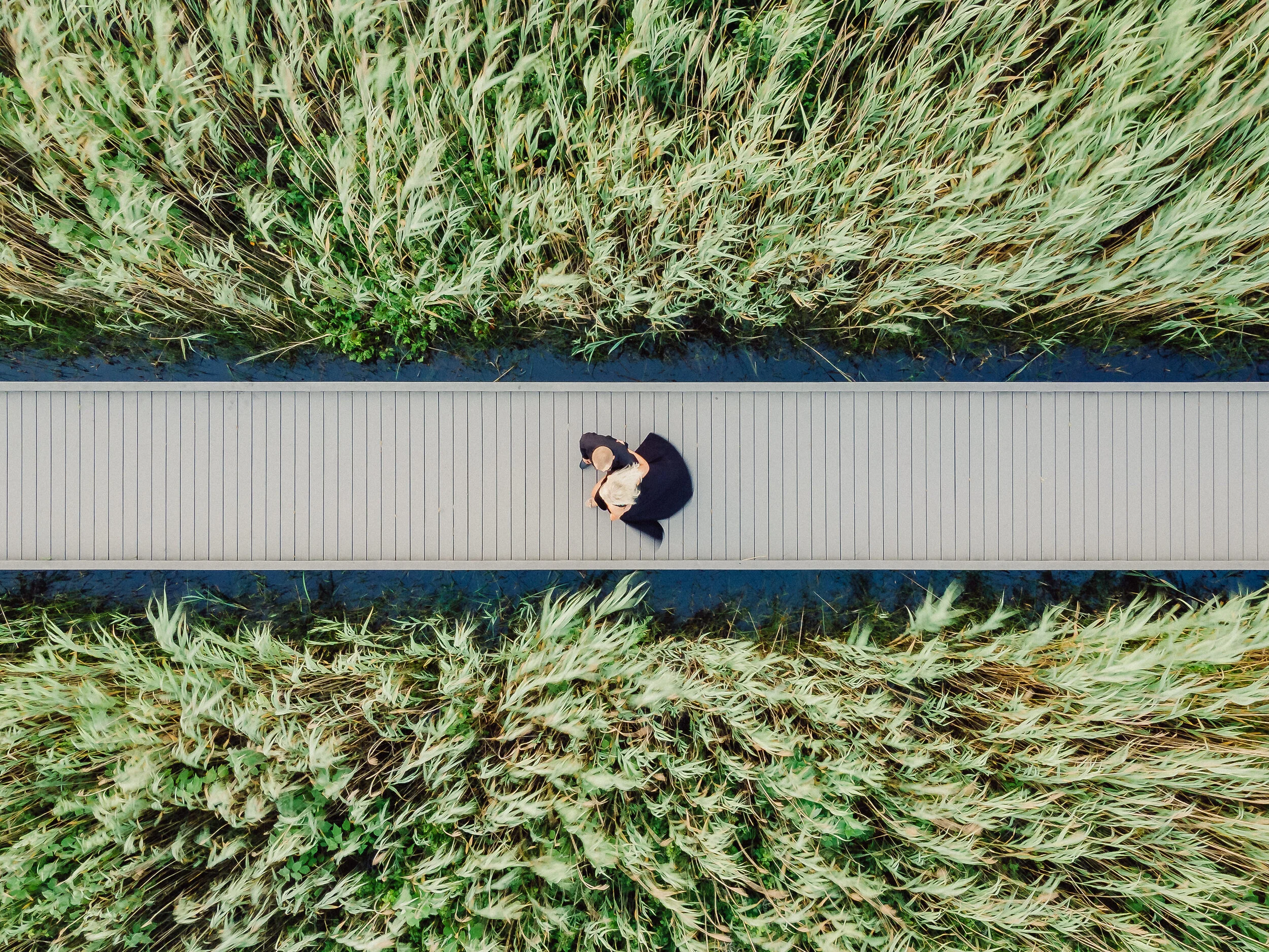 Fire Island Engagement Session