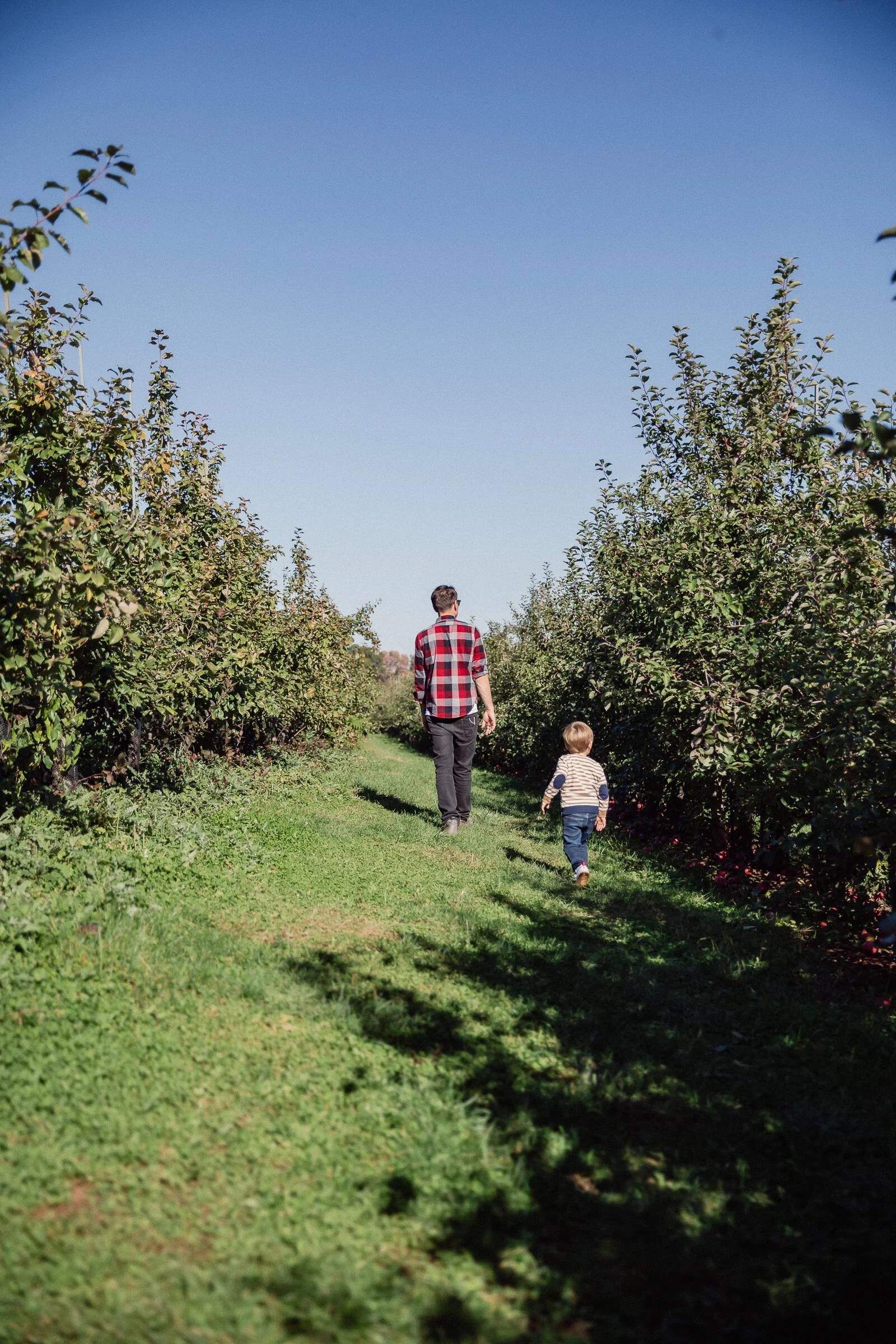 2020.10.14 Apple Picking 0073.jpg