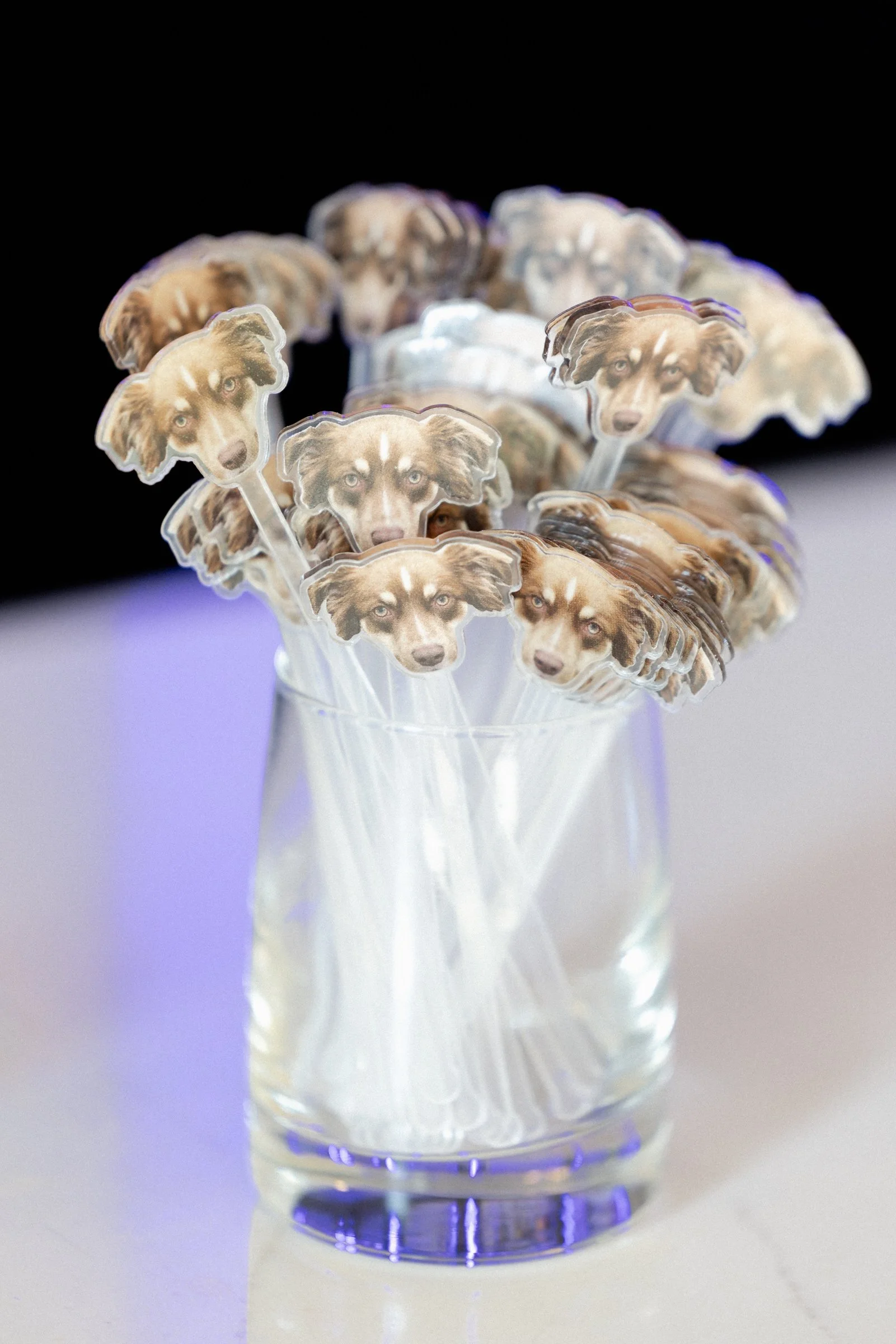 Simona and Travis by CHARMING IMAGES - 0108.jpg