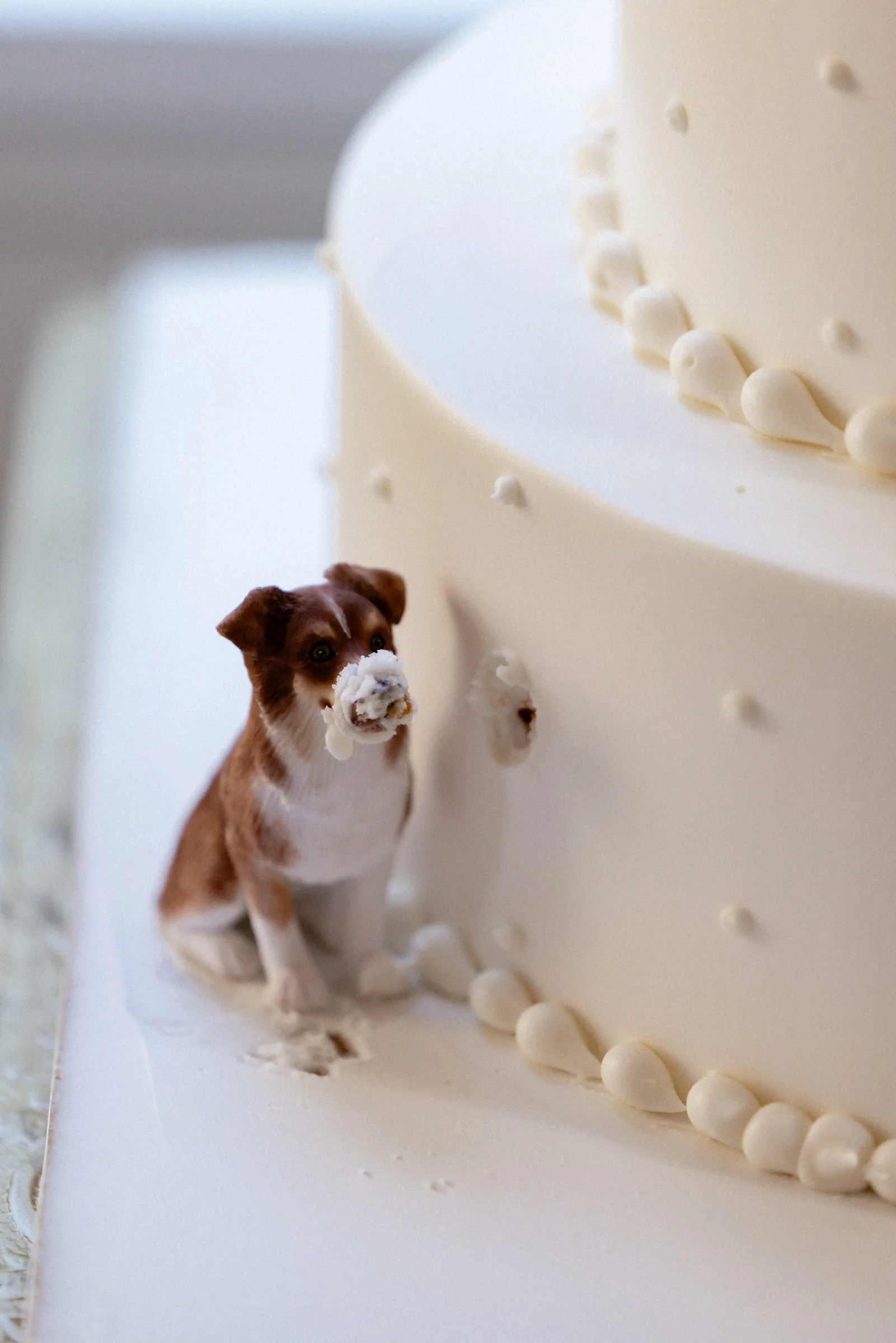 Simona and Travis by CHARMING IMAGES - 0116.jpg