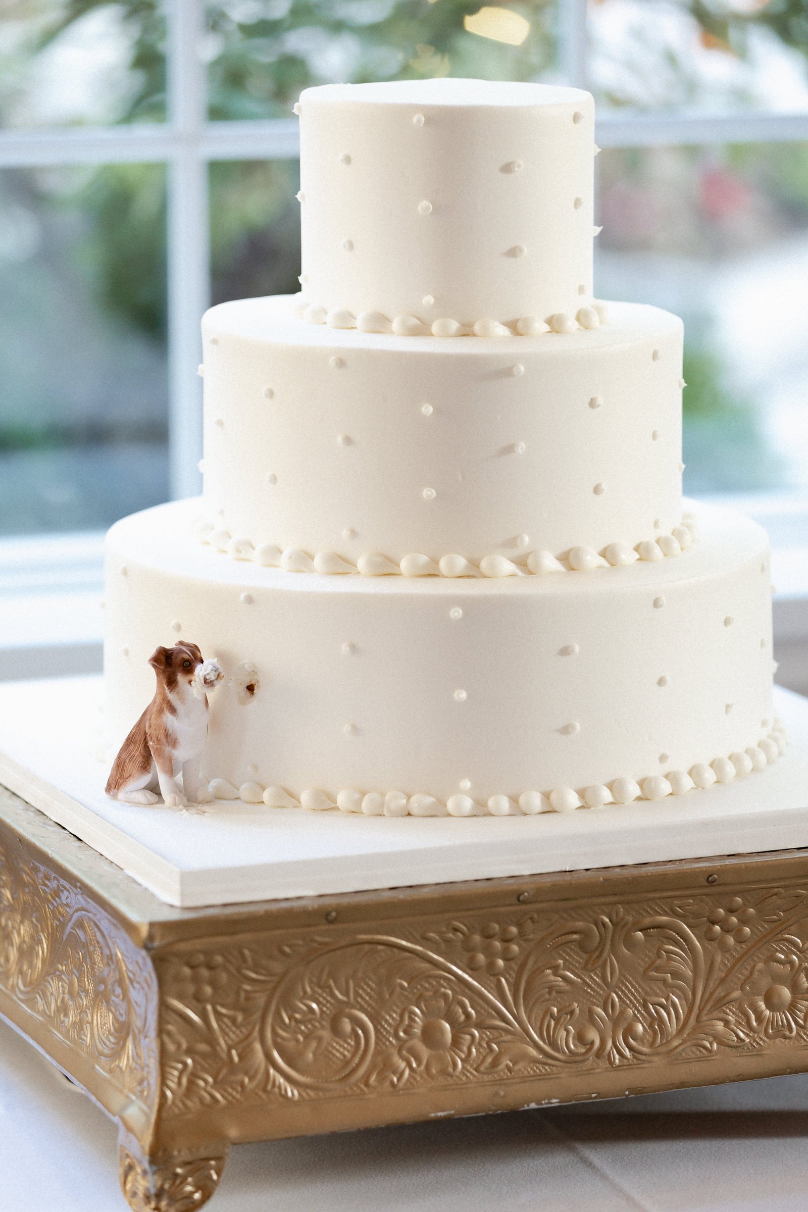 Simona and Travis by CHARMING IMAGES - 0120.jpg