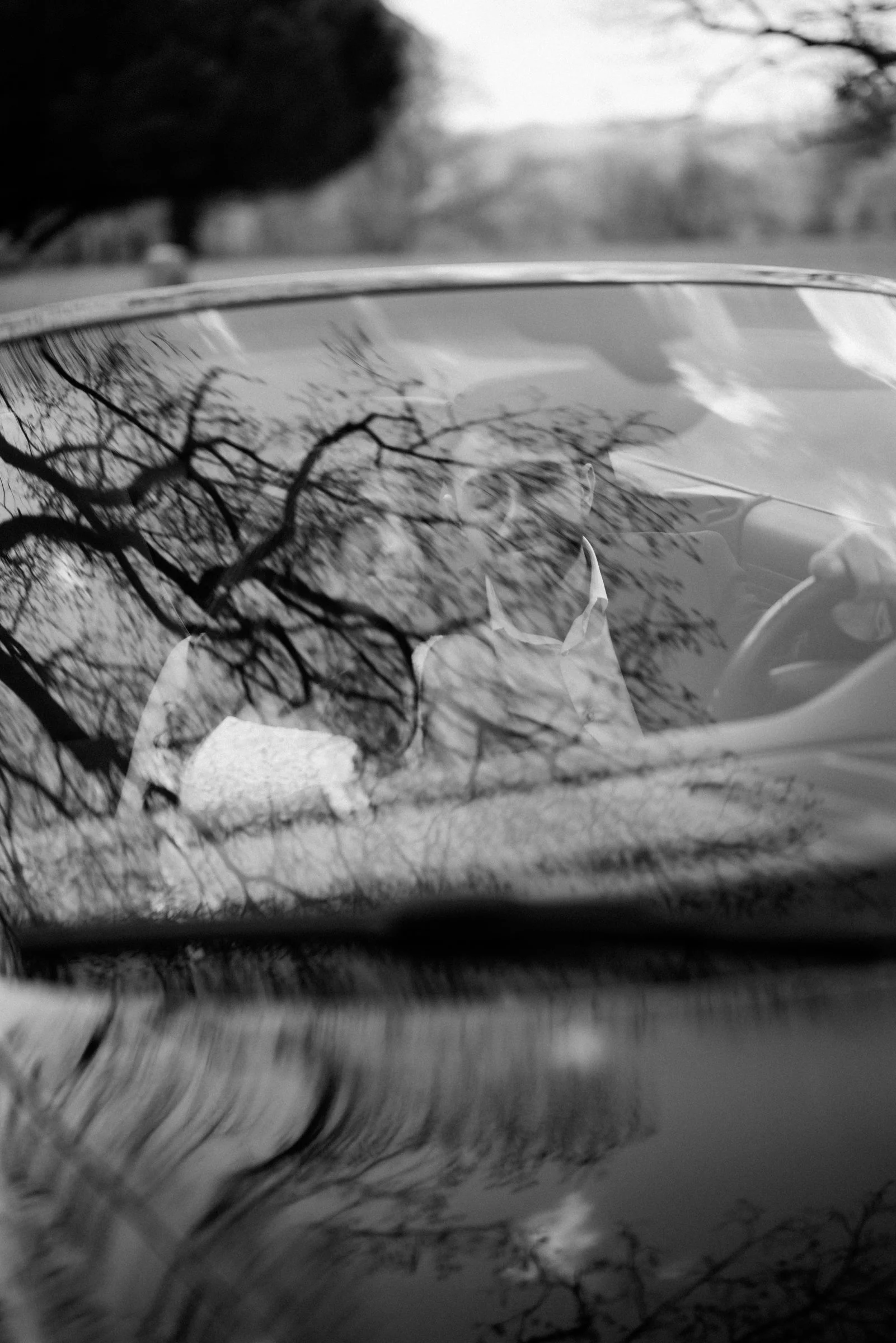 NJ Botanical Gardens Engagement Photo - 0019.jpg