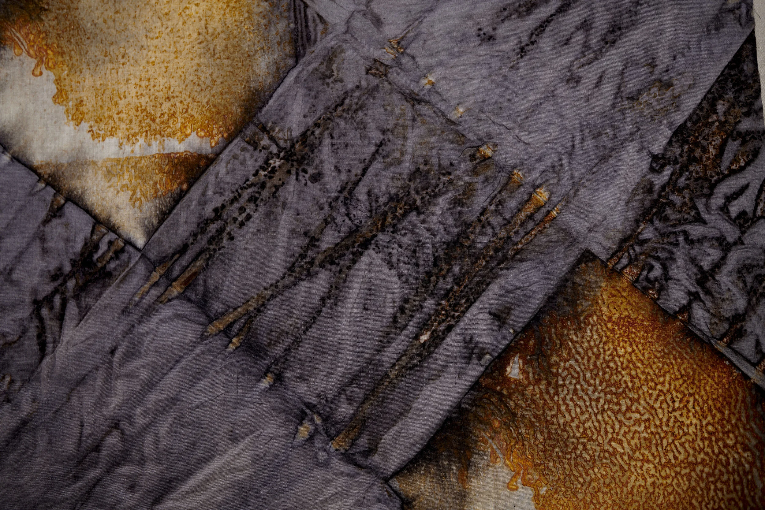 TOI banner Squarespace.JPG