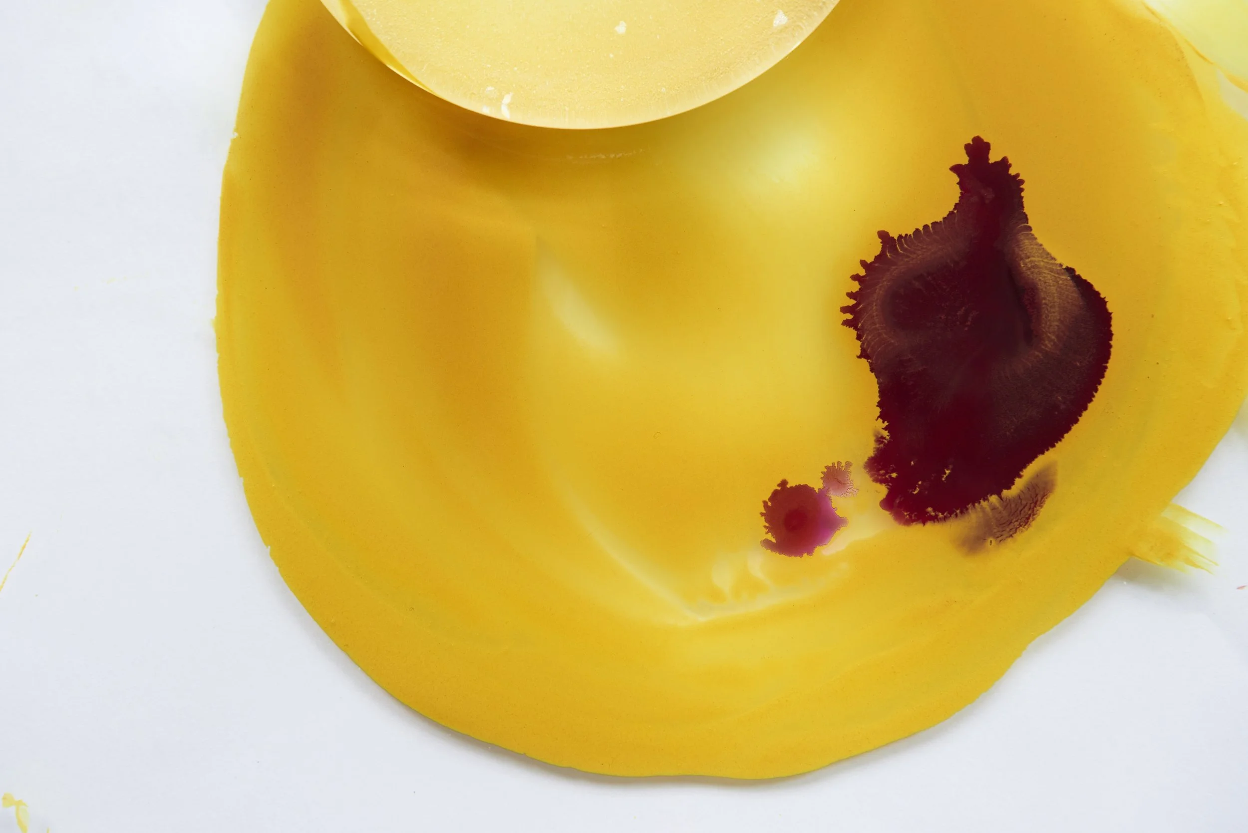 20170610_TM_248 copy 2.jpeg