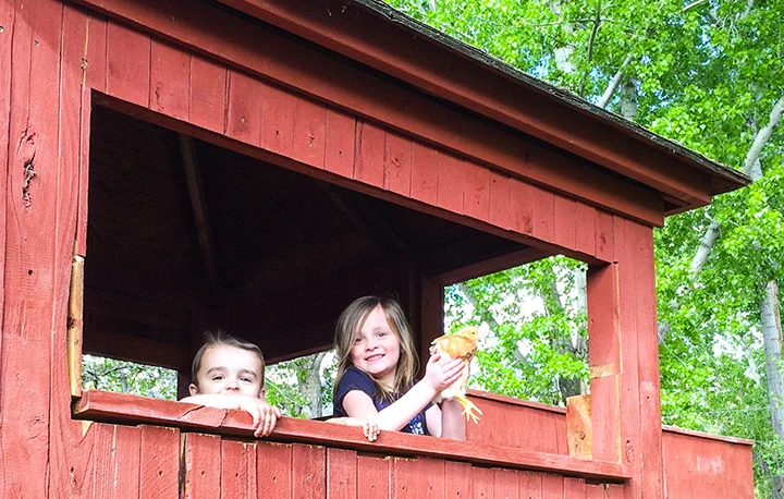 We went to my cousin Sean's house. He has a great little family and they recently purchased chickens. In this picture Abbey is with Ben (her second cousin once removed?) in a tree house holding a chicken. Abbey had so much fun with Ben. 