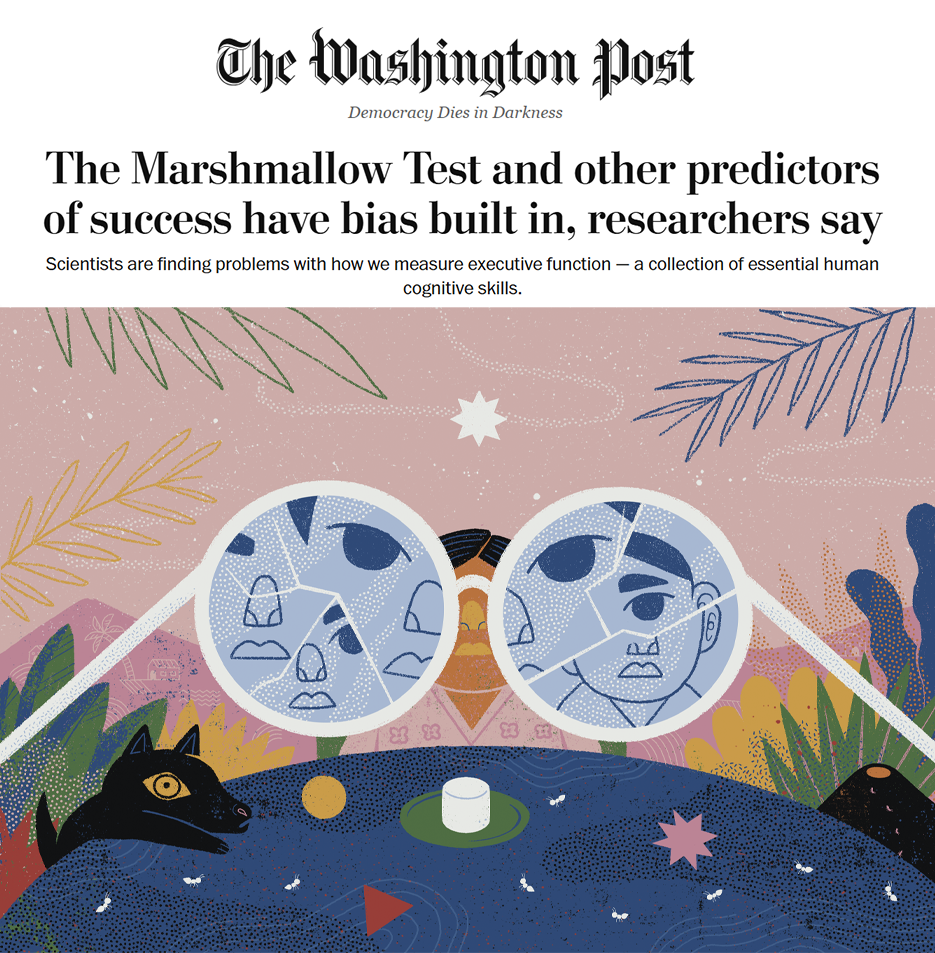 WashPost.png
