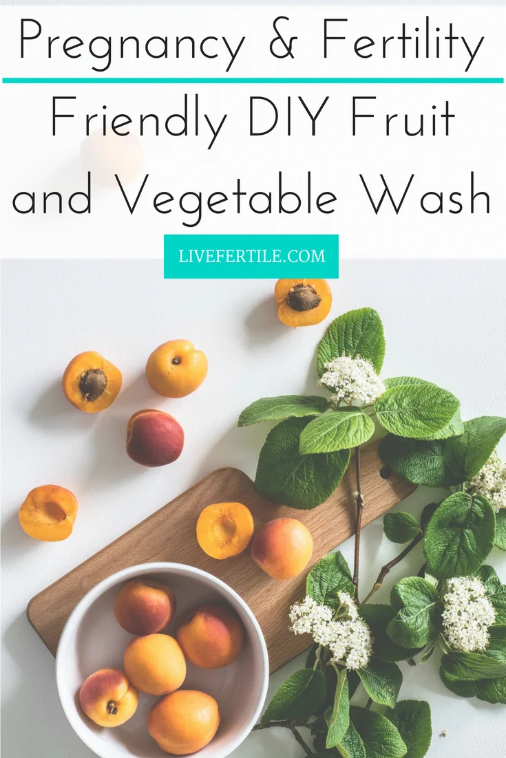 Pregnancy and fertility friendly DIY fruit and vegetable wash.jpg