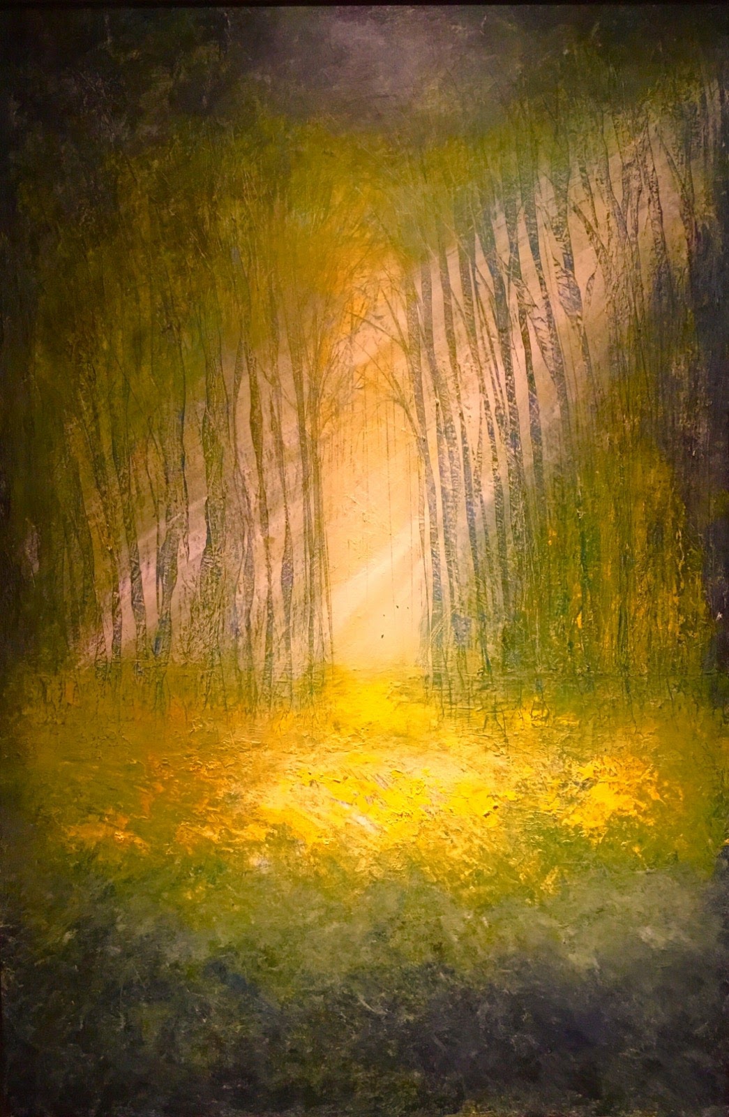 Light and the leaves