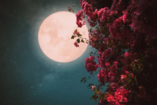 Return to Center: Nourishing Full Moon Ritual