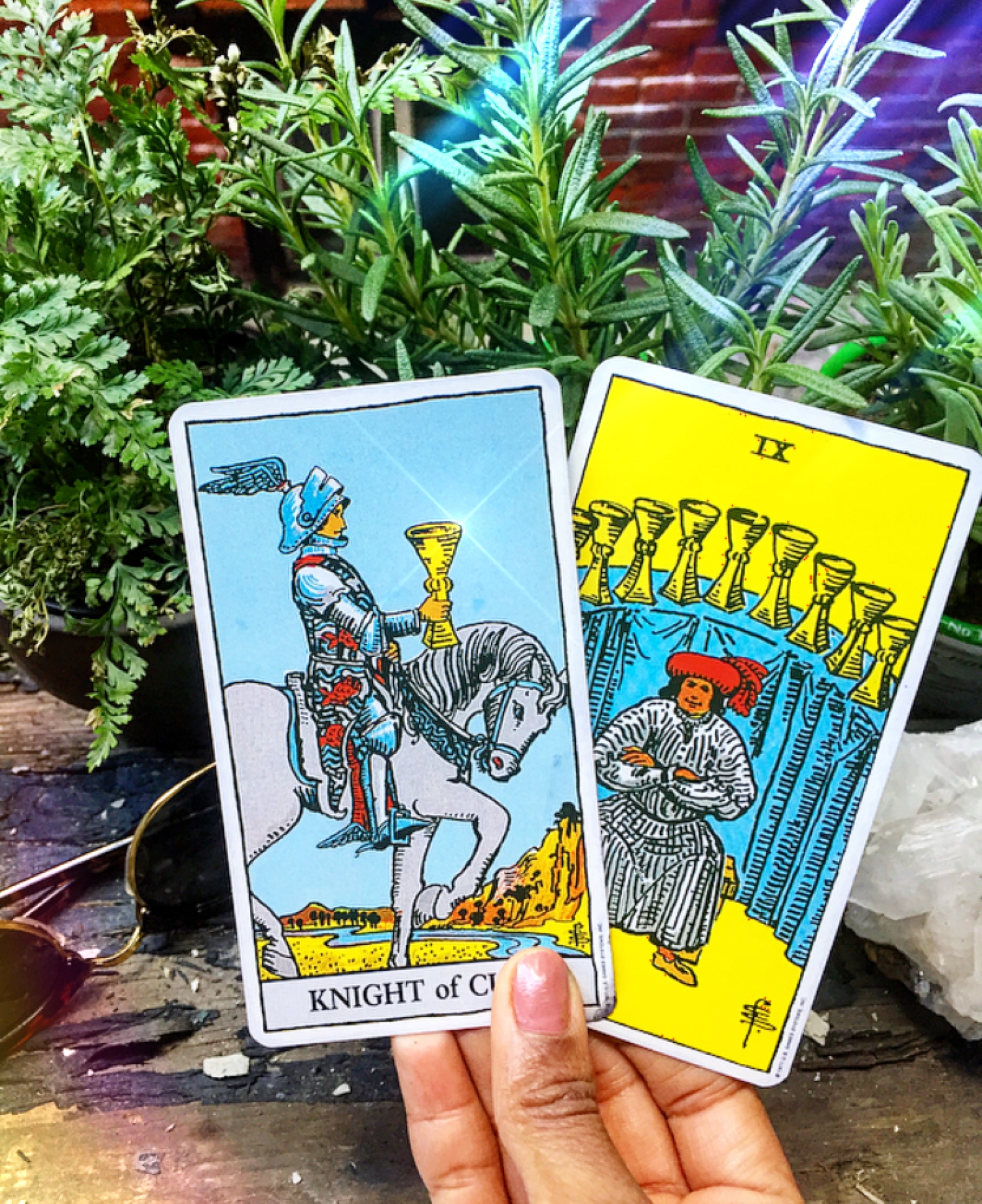 DAILY TAROT- Knight of Cups & 9 of Cups- EXPRESS YOUR HEART