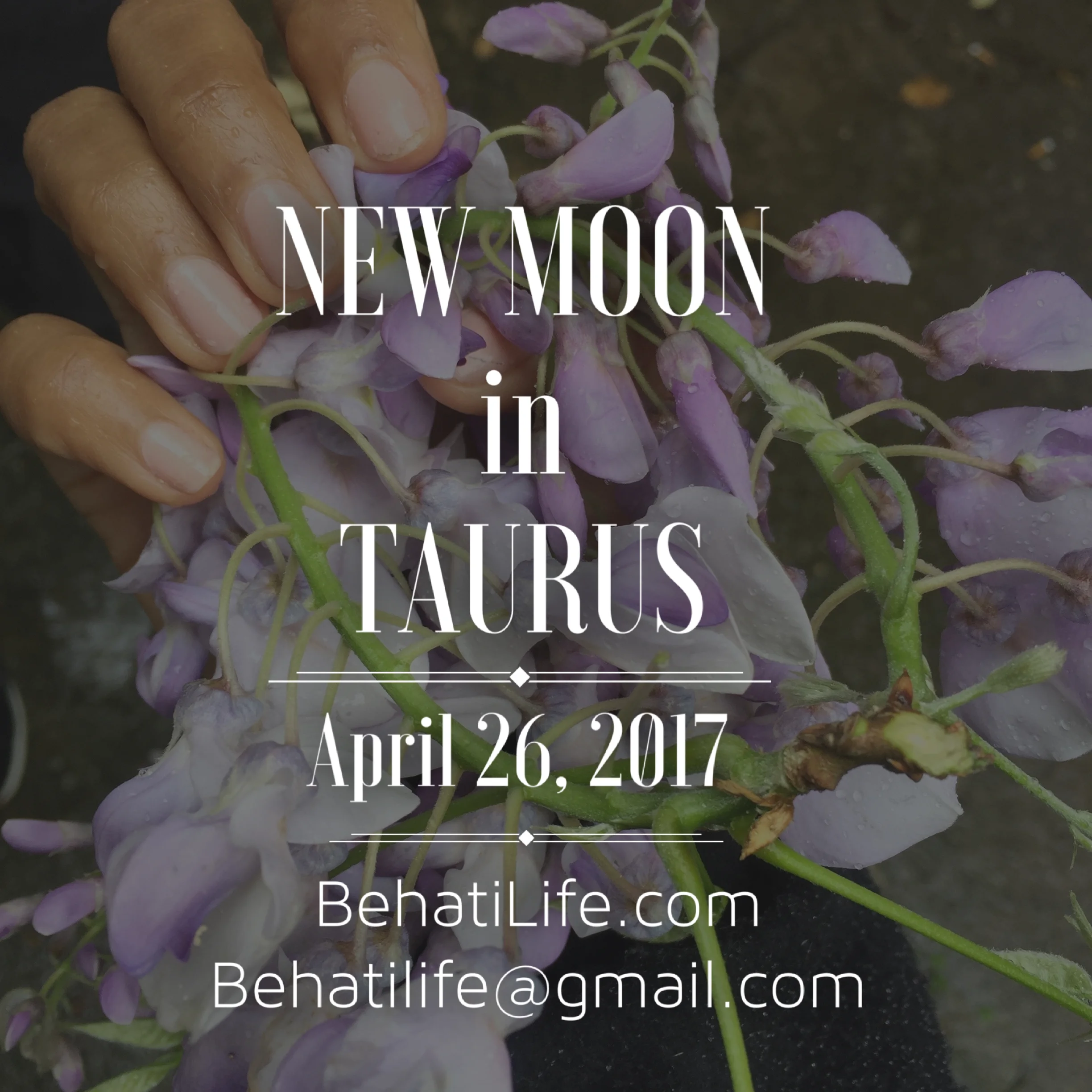 TAURUS NEW MOON DETAILS- APRIL 26, 2017