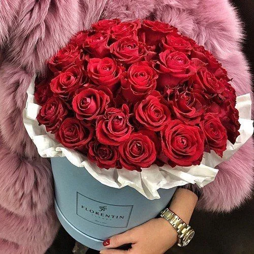 SOLAR ECLIPSE & V- DAY SURPRISES!