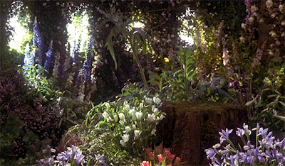 tumblr_ni56reEusj1qzxeqqo1_400.gif