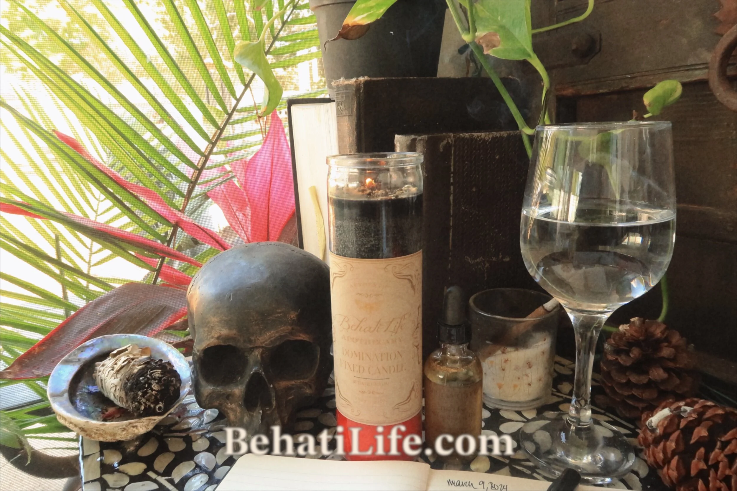 9C3D6CFC-3249-46F0-A46E-C6A2E2C5F9D4