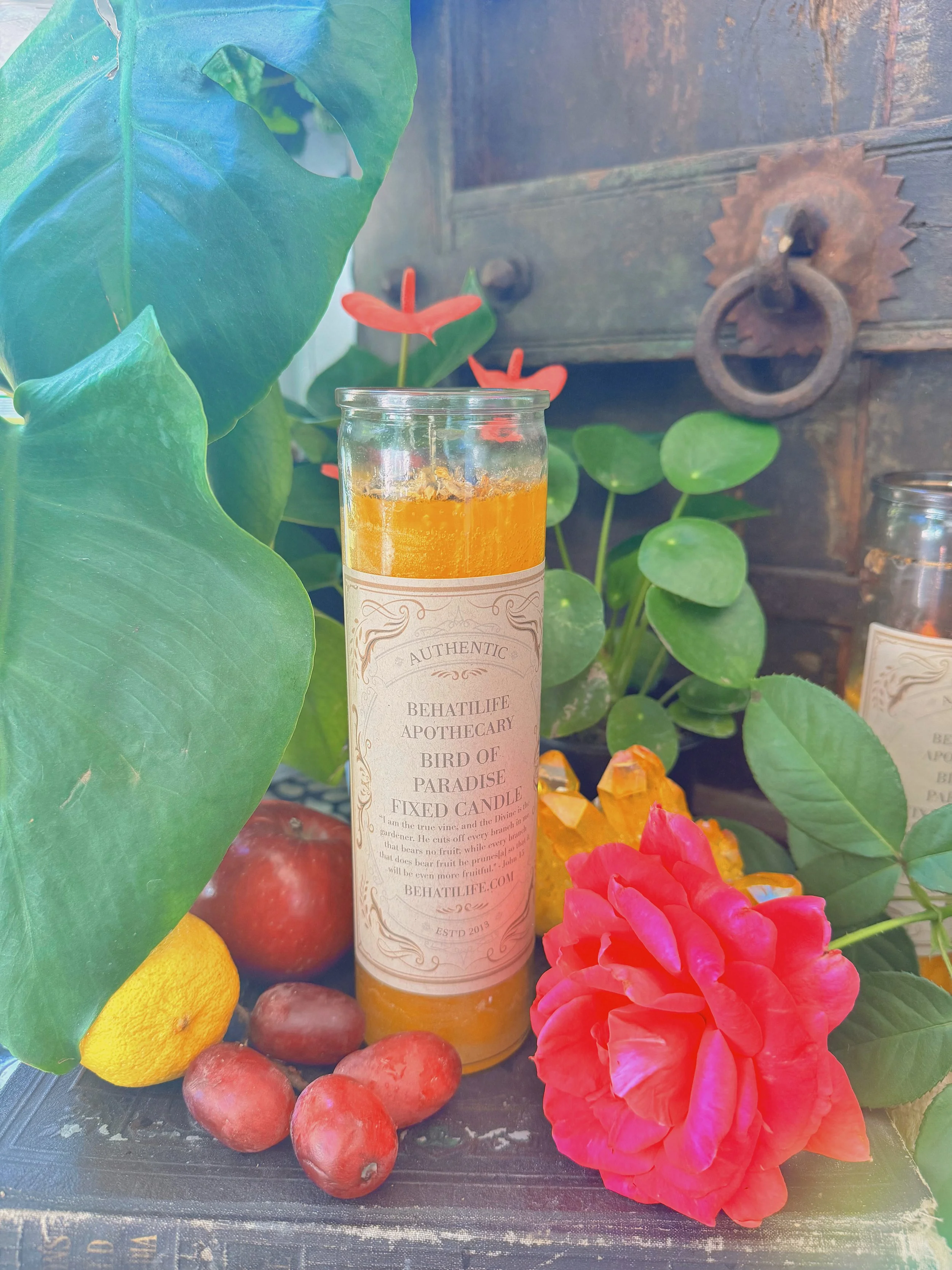 Bird of Paradise Fixed Candle