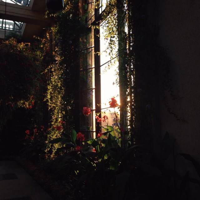 The Power of the Dark Feminine: Embracing the Shadow, Reclaiming Your Power