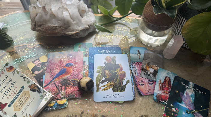 BLN - Your Determination Is About to Pay Off