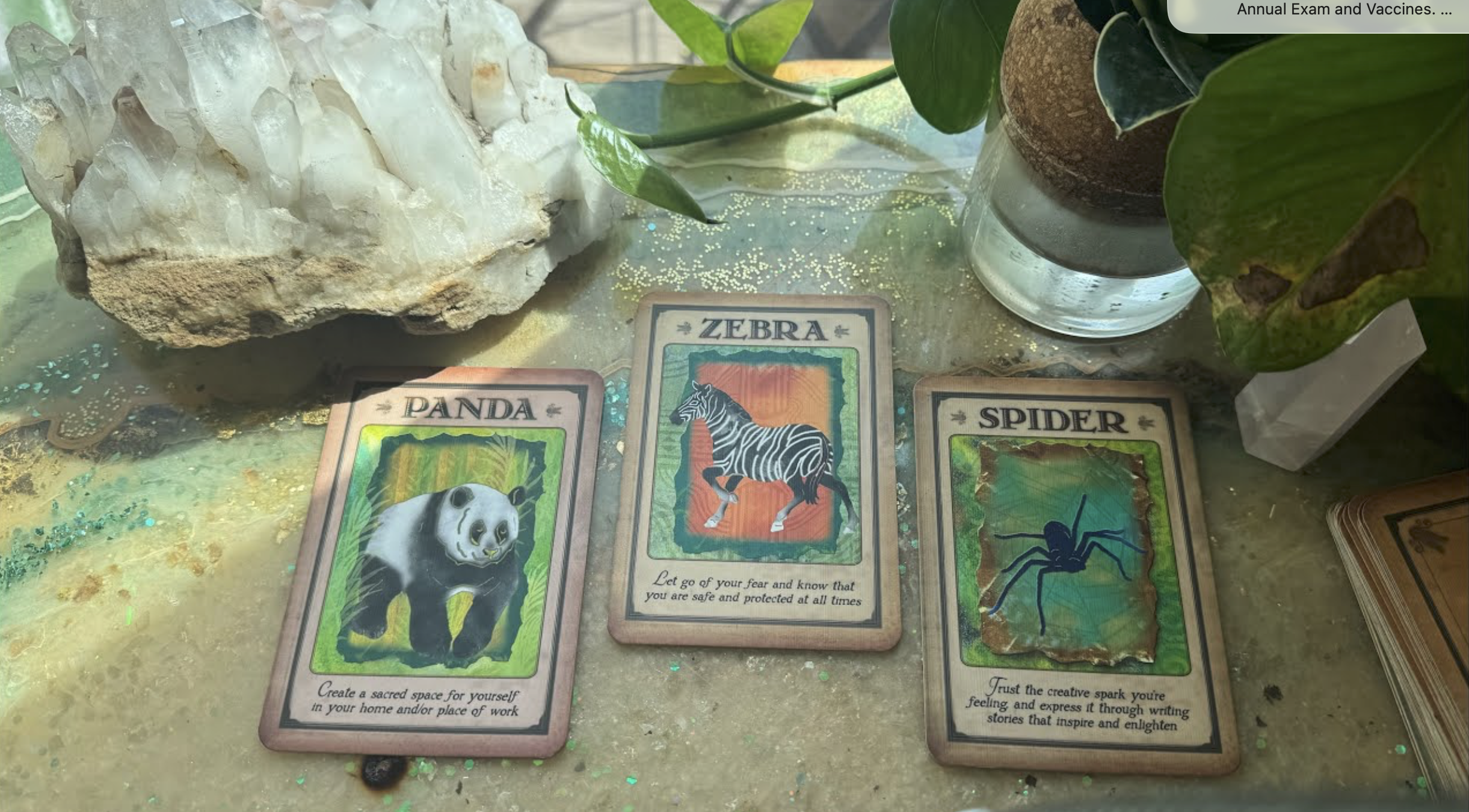 BLN- Finding Art in Through Your Shadow + Message from Dad 