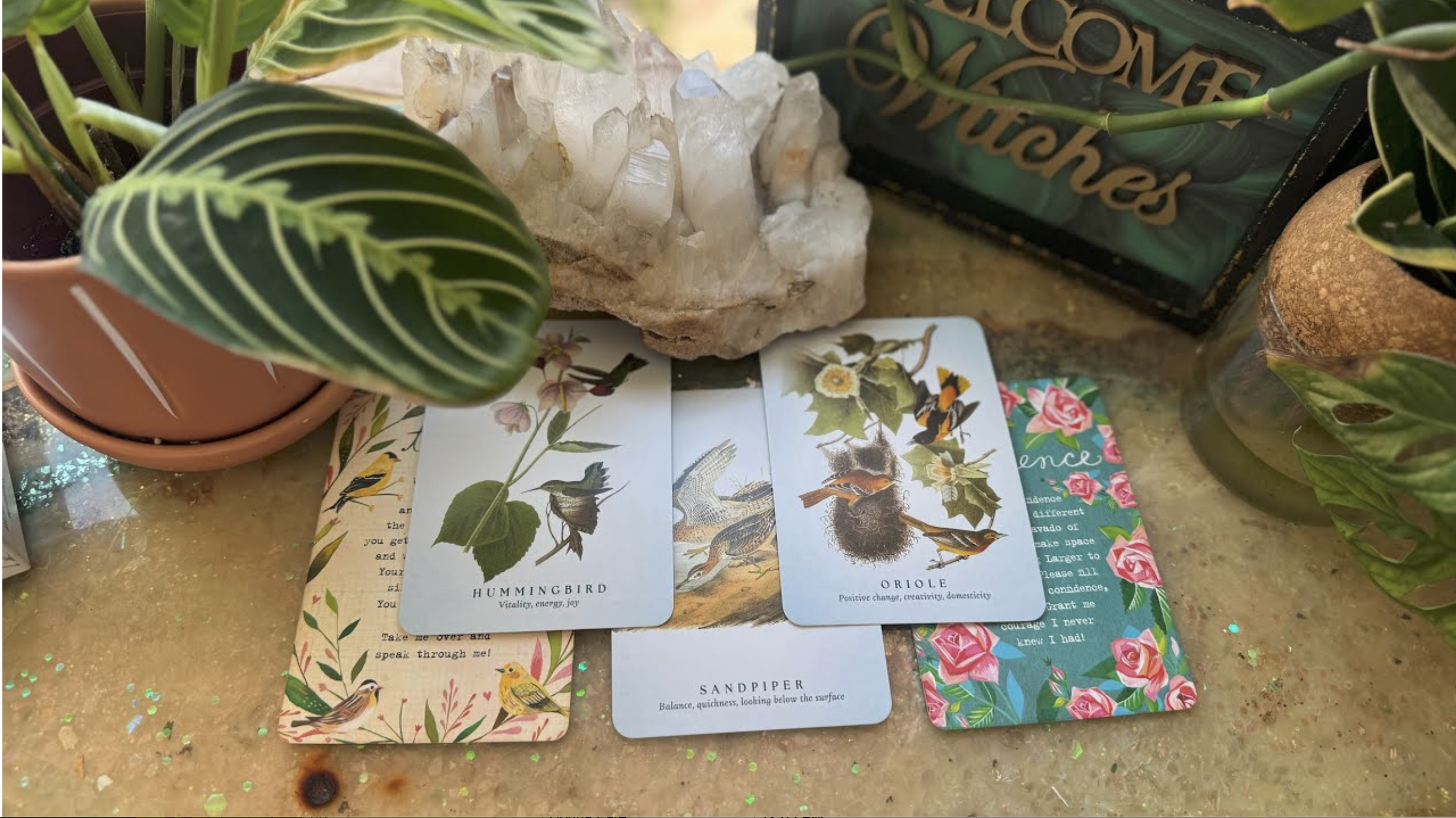 BLN- 909- Hummingbird brings a message of joy to come ;) 🪻🦋🌦️🌿