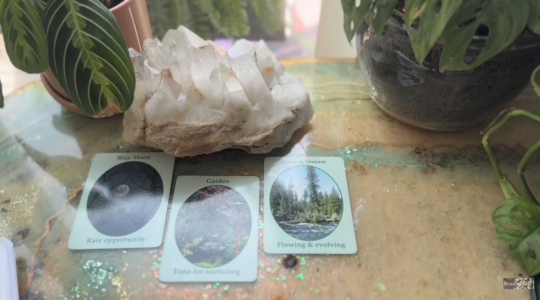 BLN- Deeply Nourish the Root...