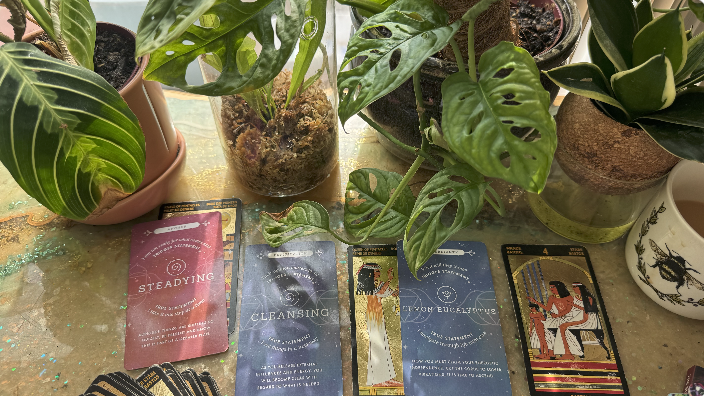  Pluto Retrograde has inspired this cathartic cleanse…