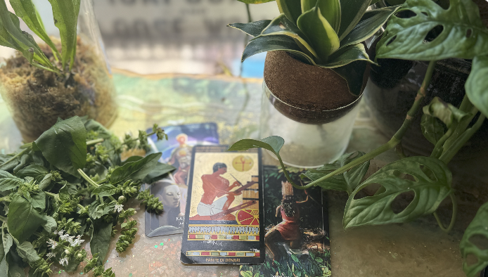 Astrology Breakdown + Intuitive Message