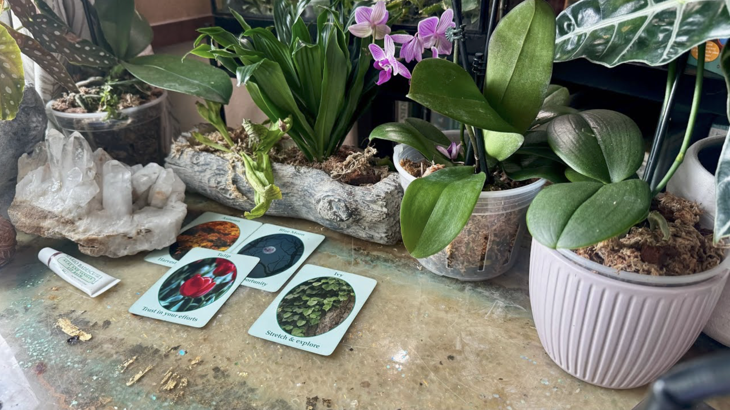 BLN- Reconnecting to Your True Nature 