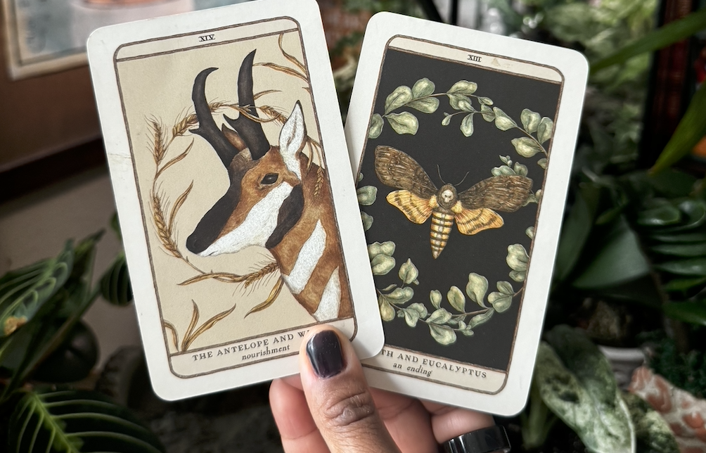 BLN- Mars Enters Gemini, Mercury Retrograde Season Begins- Astrology Dive + Intuitive Message