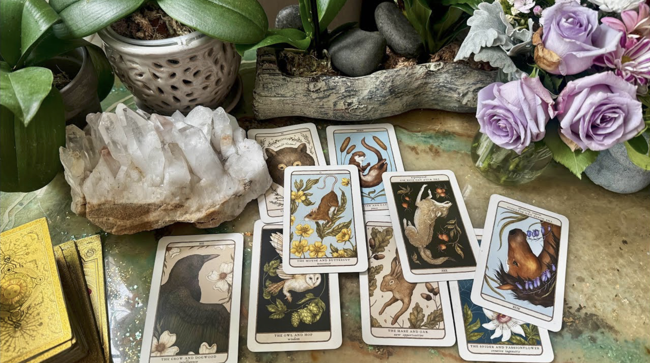 BLN • Wealth Reading •  Otter Spirit Brings A Message + A Leader in Your Financial Blessings! 