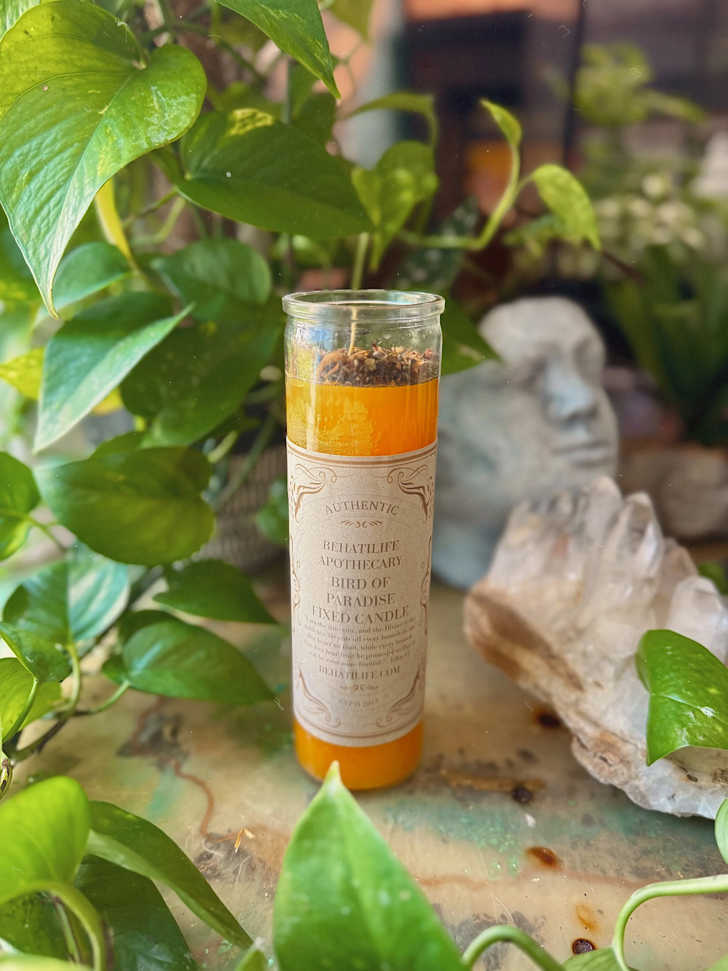 Bird of Paradise Fixed Candle