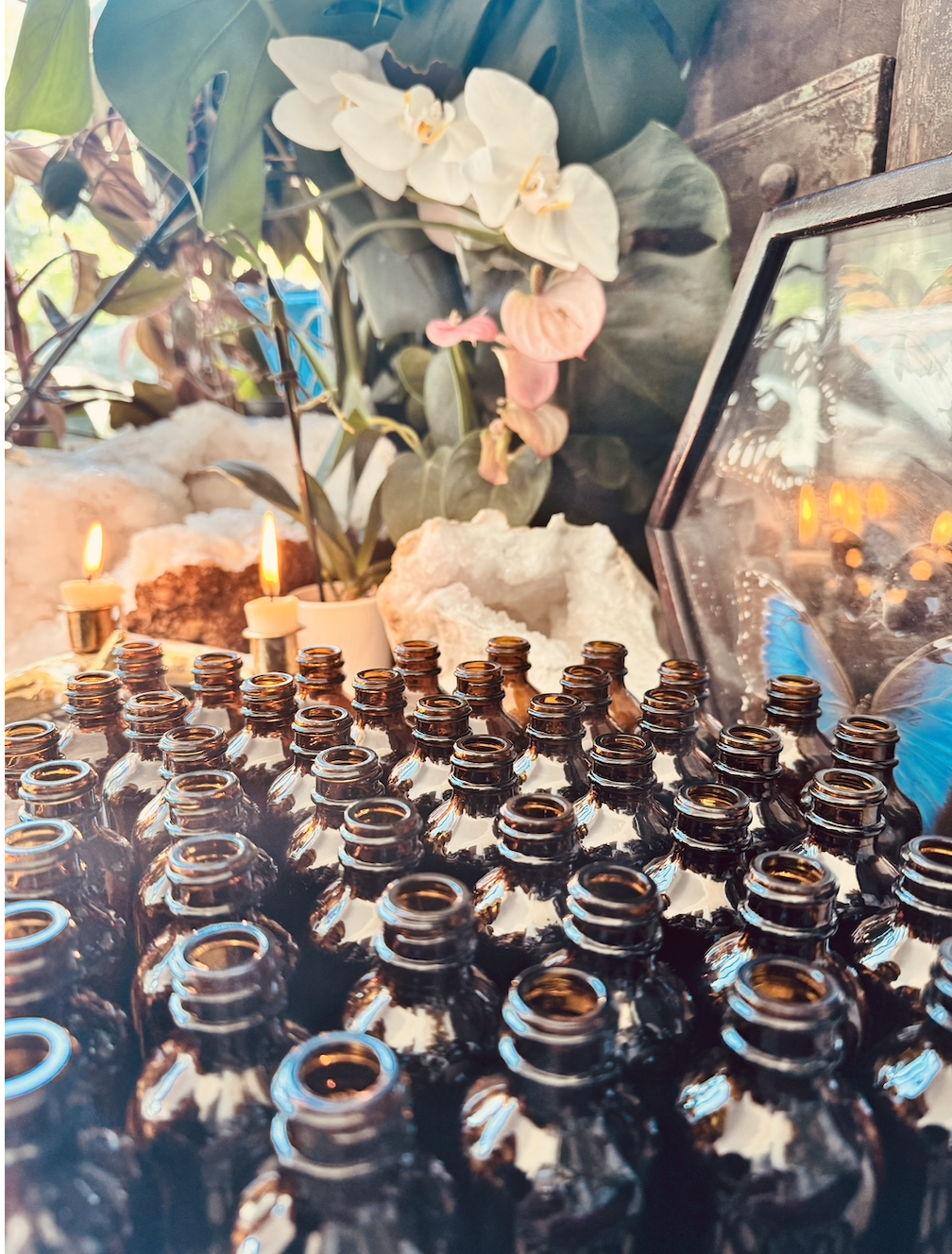 Screenshot 2026-03-01 at 7.37.20 PM.png