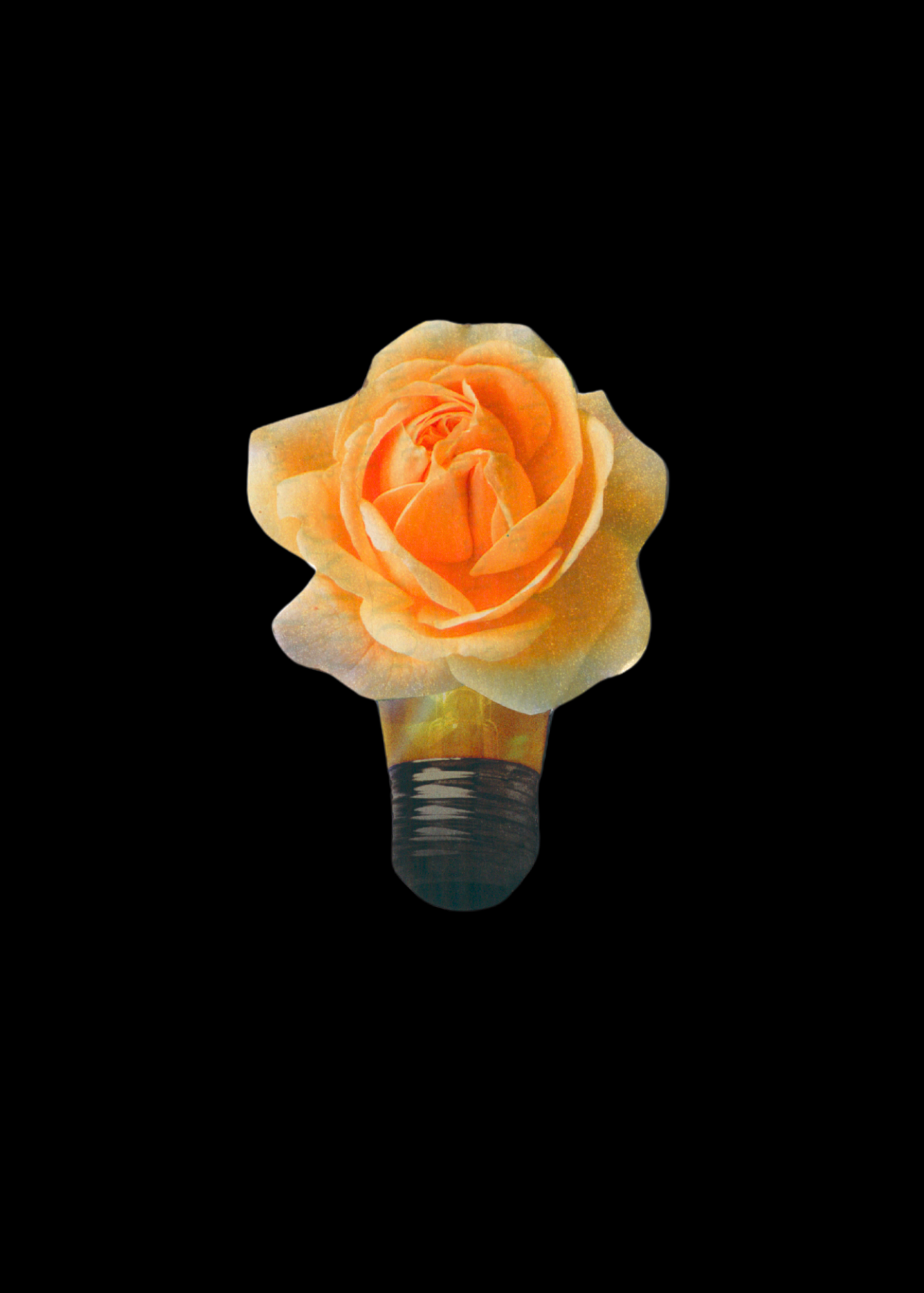 Untitled 05 x 7 in0 020.png