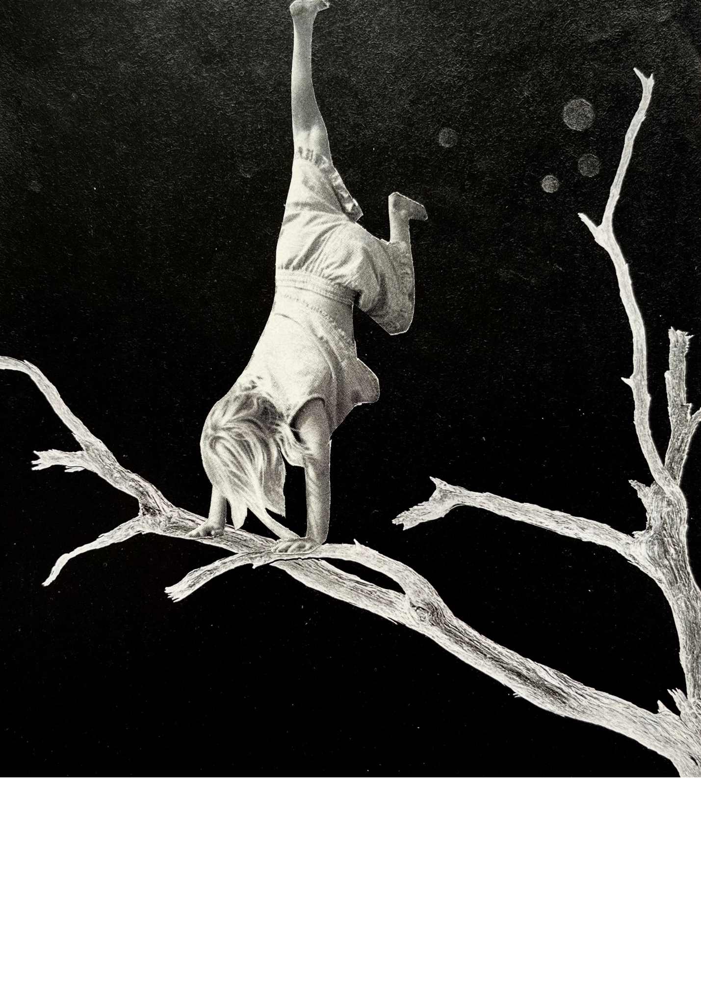 girl handstanding on a brach 5 x 5.png