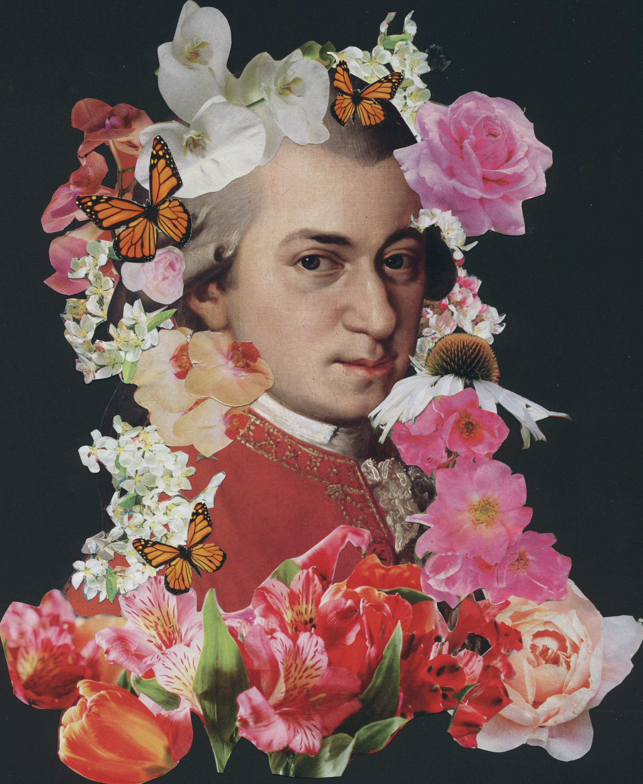 Decorated Admiral full frame.png