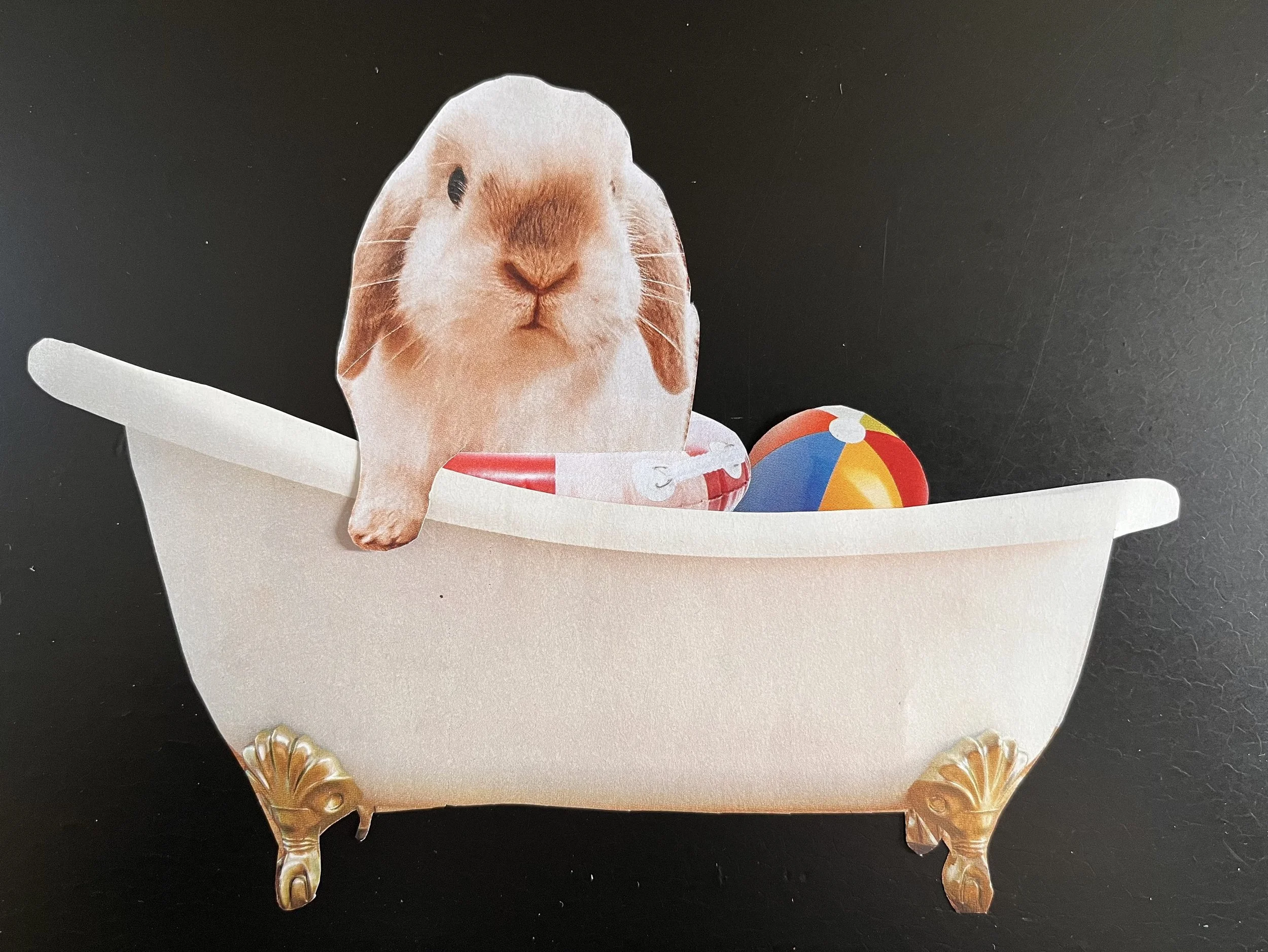 bunny in tub (2).jpg
