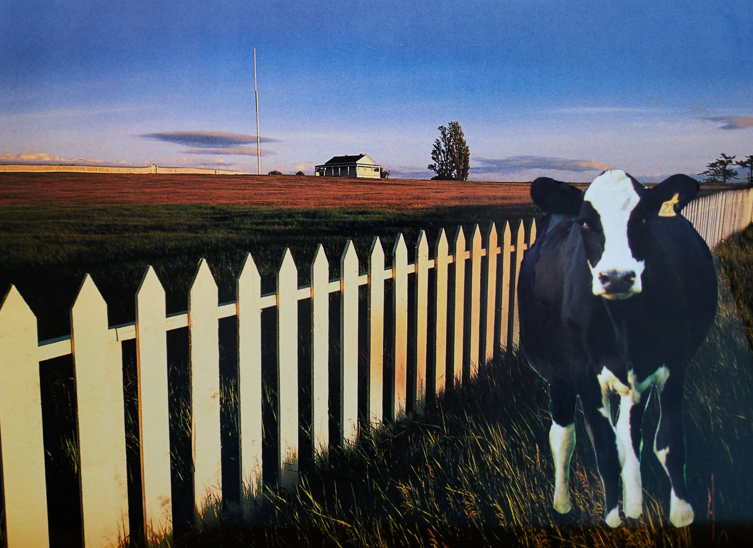 2025-10-05 11.22.12L1017753 (3).jpg