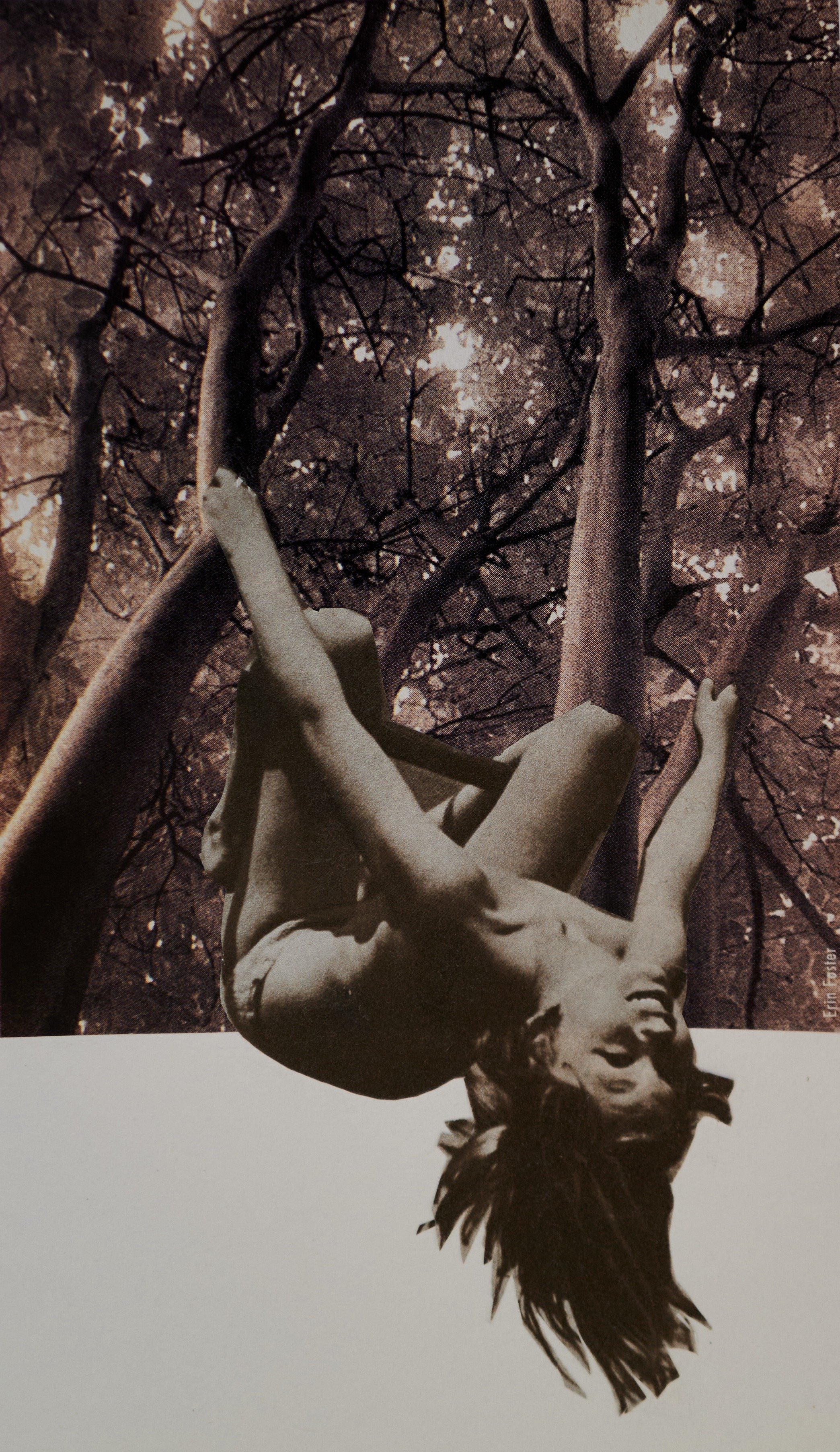 girl in tree (edited).jpg