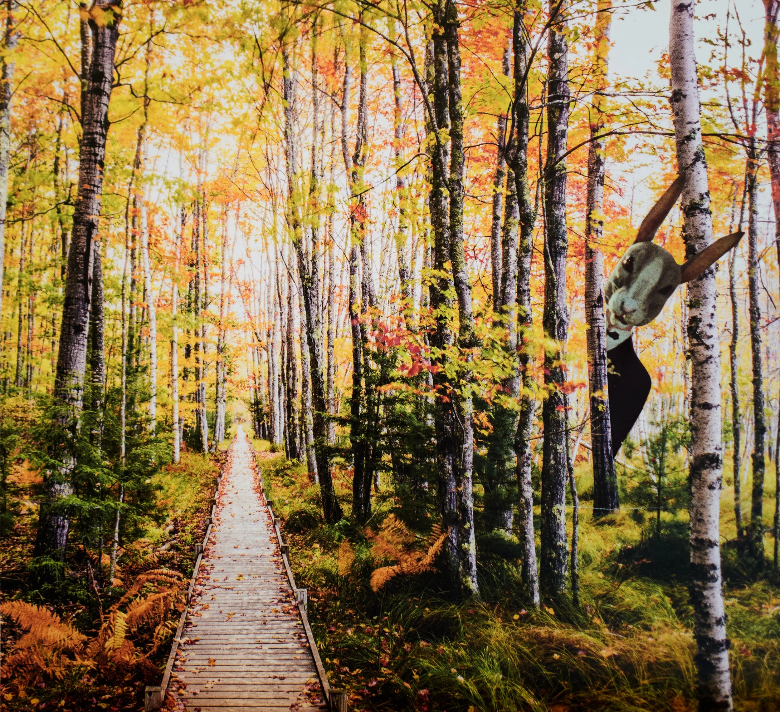 2025-10-05 11.19.47L1017734.jpg