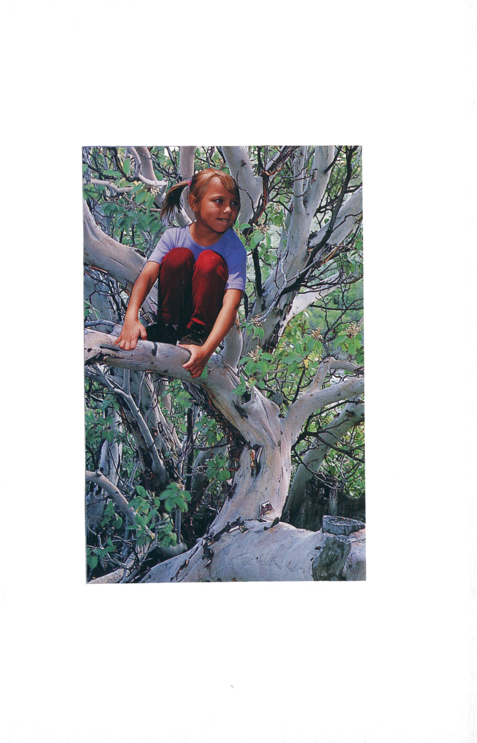 Girl in a Tree.png