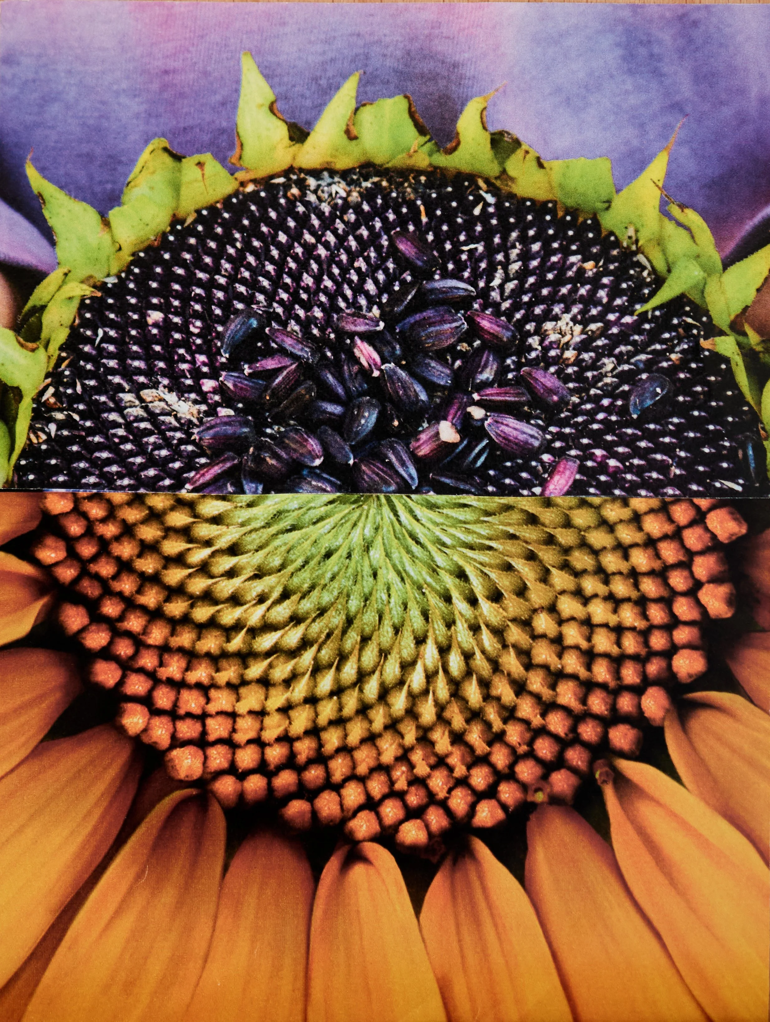 2025-10-05 11.21.07L1017744.jpg