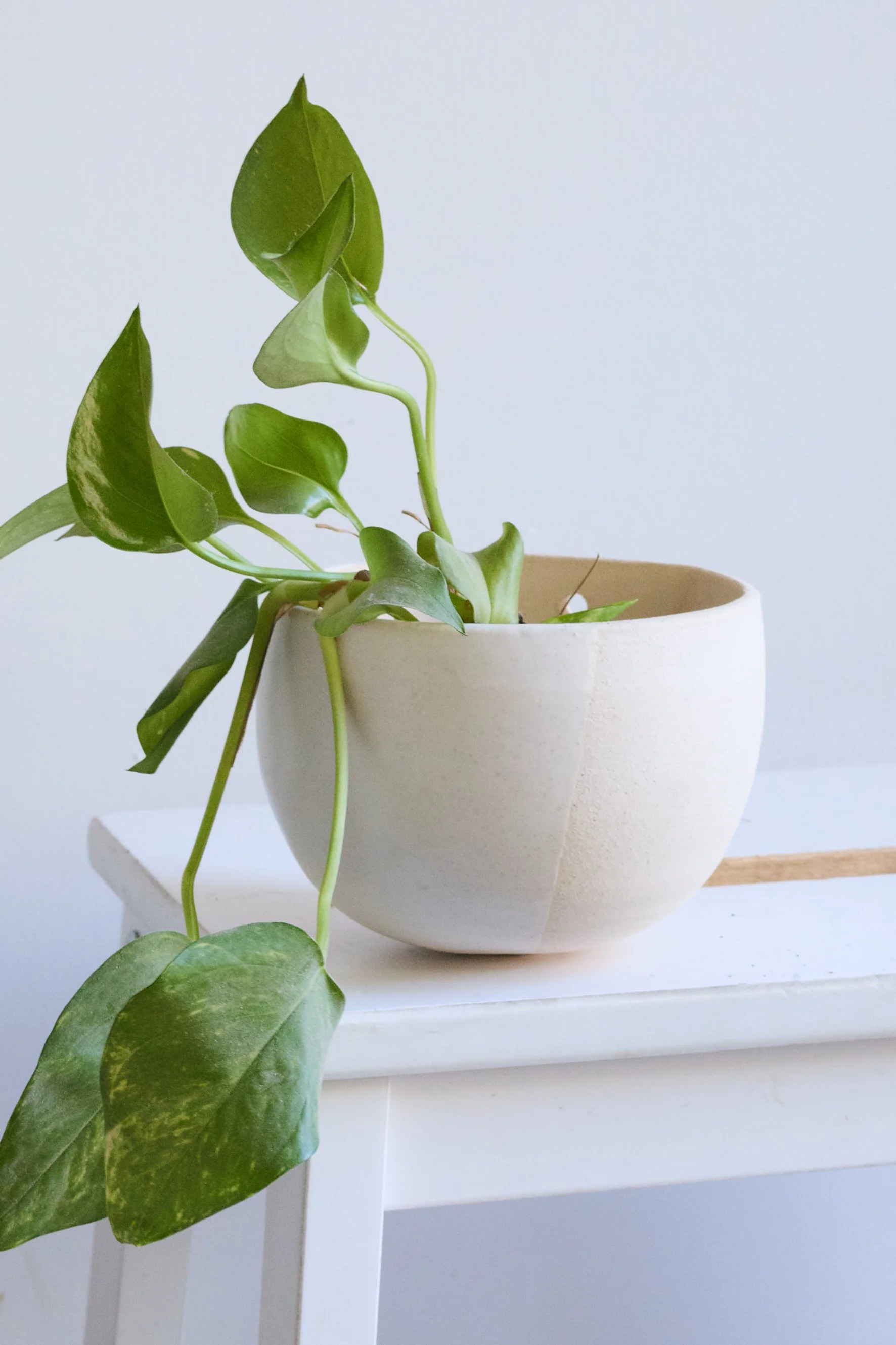 251118_KerriBrewerStudio_Franc 9.jpg