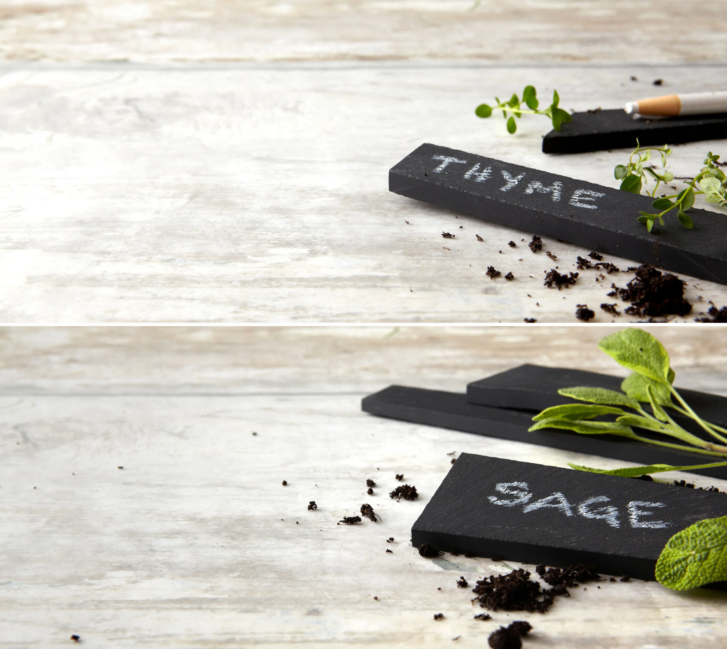 09_garden_85224674_TASTE_3727.jpg