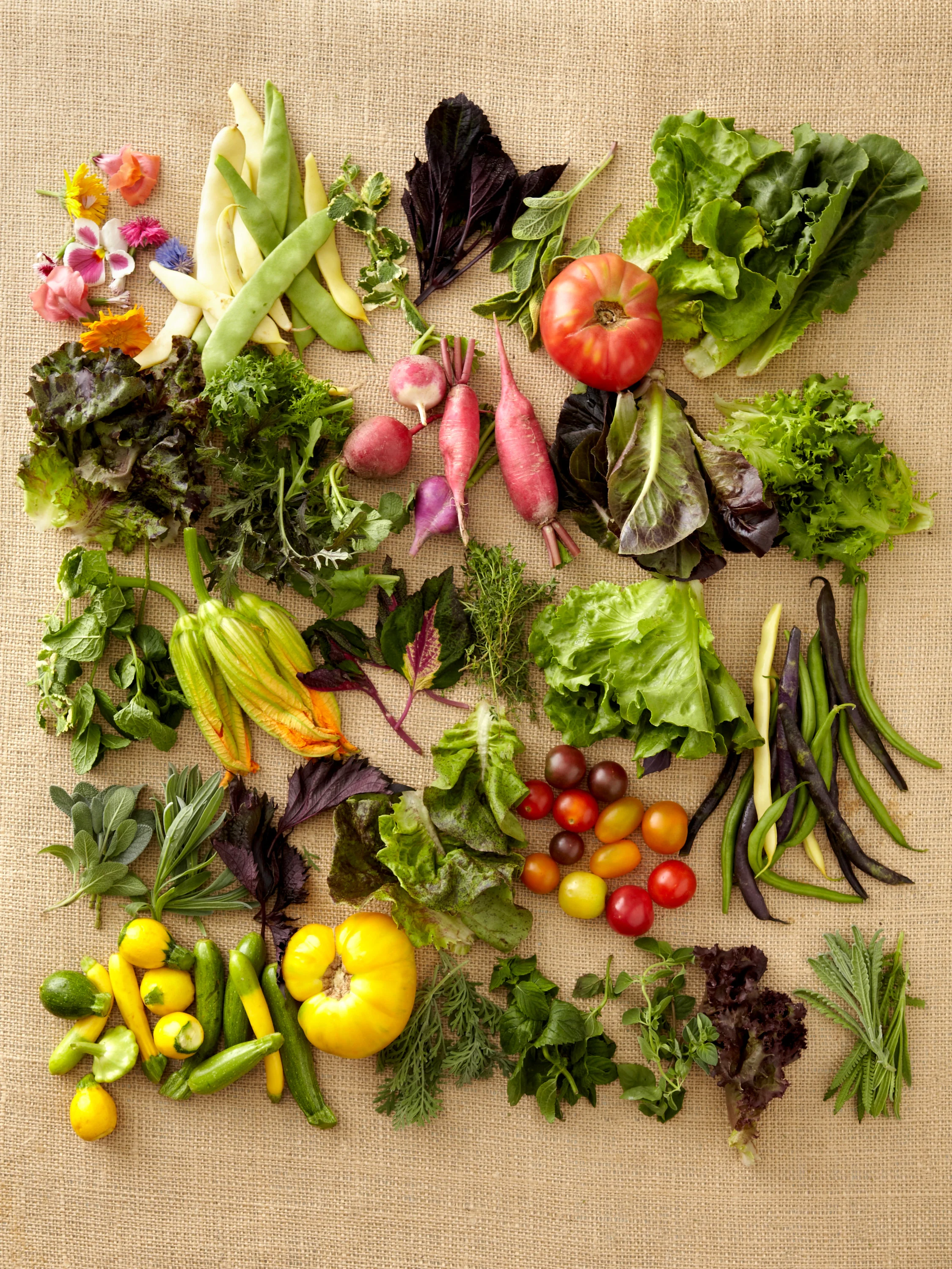 01_basket_summer_86063777_B_0068.jpg