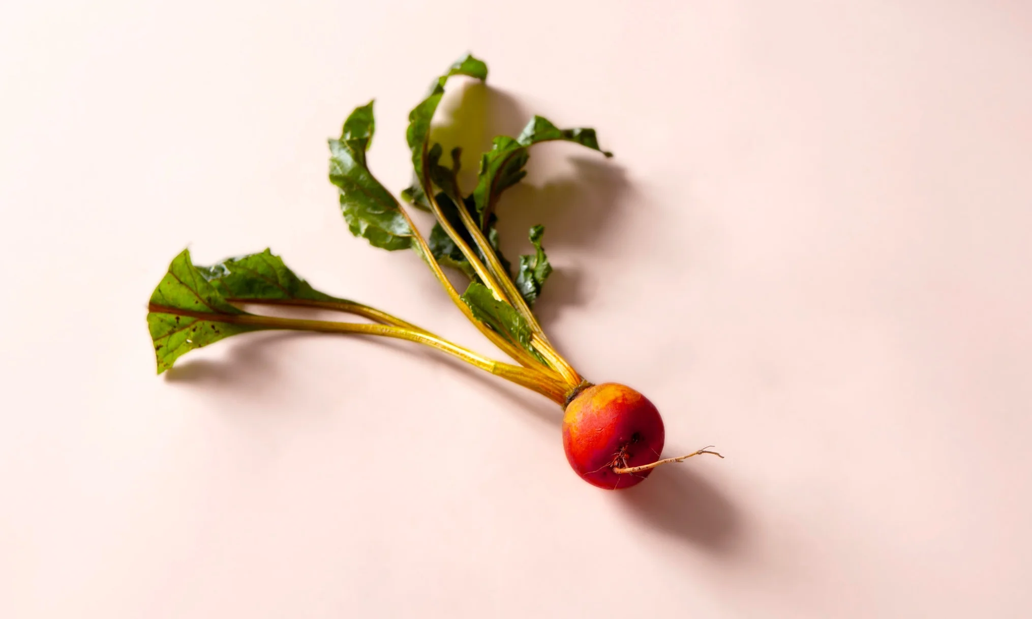 181020_Rael_PeriodMeals_Beets-1_2.jpg