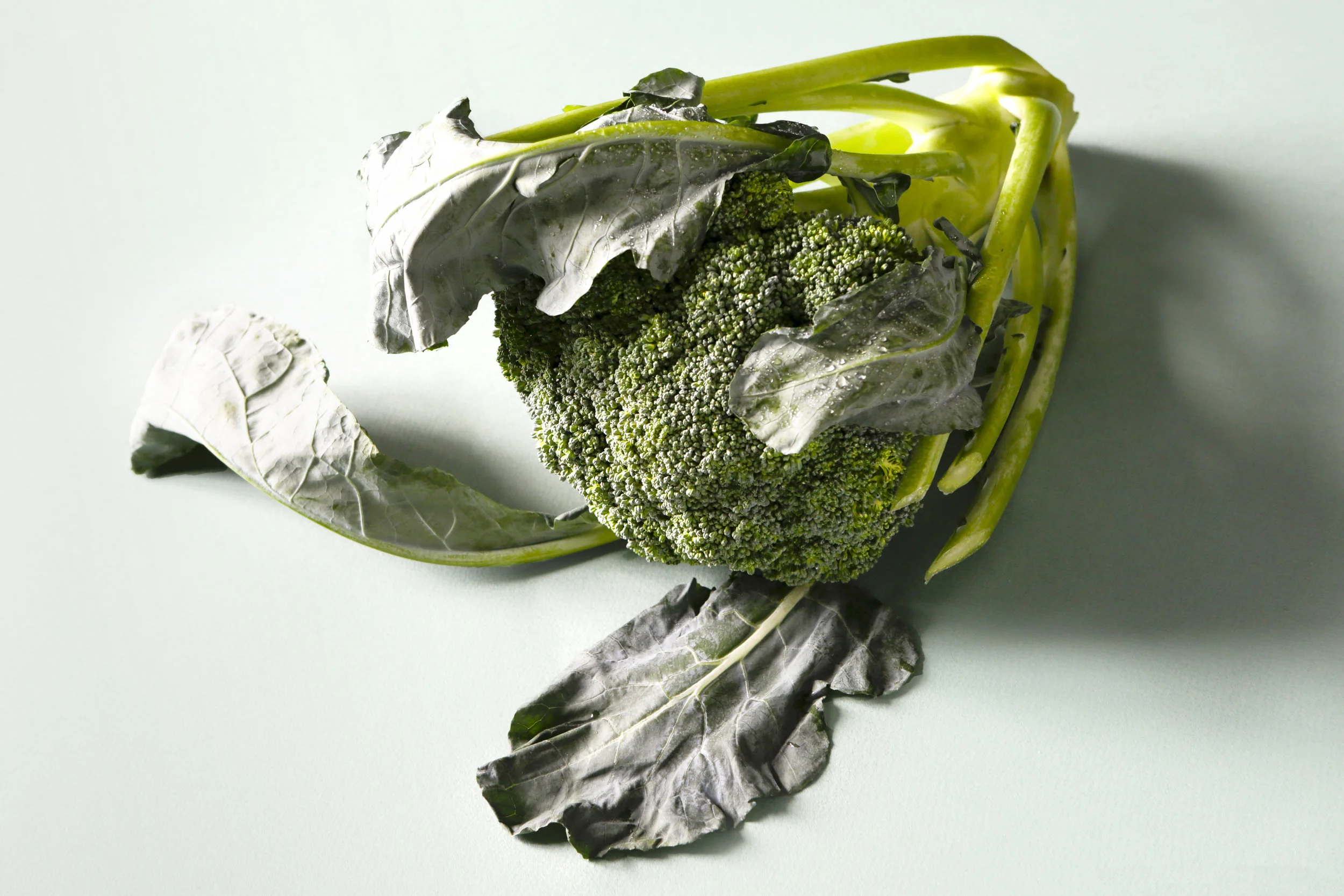 181020_Rael_PeriodMeals_Broc-1.jpg