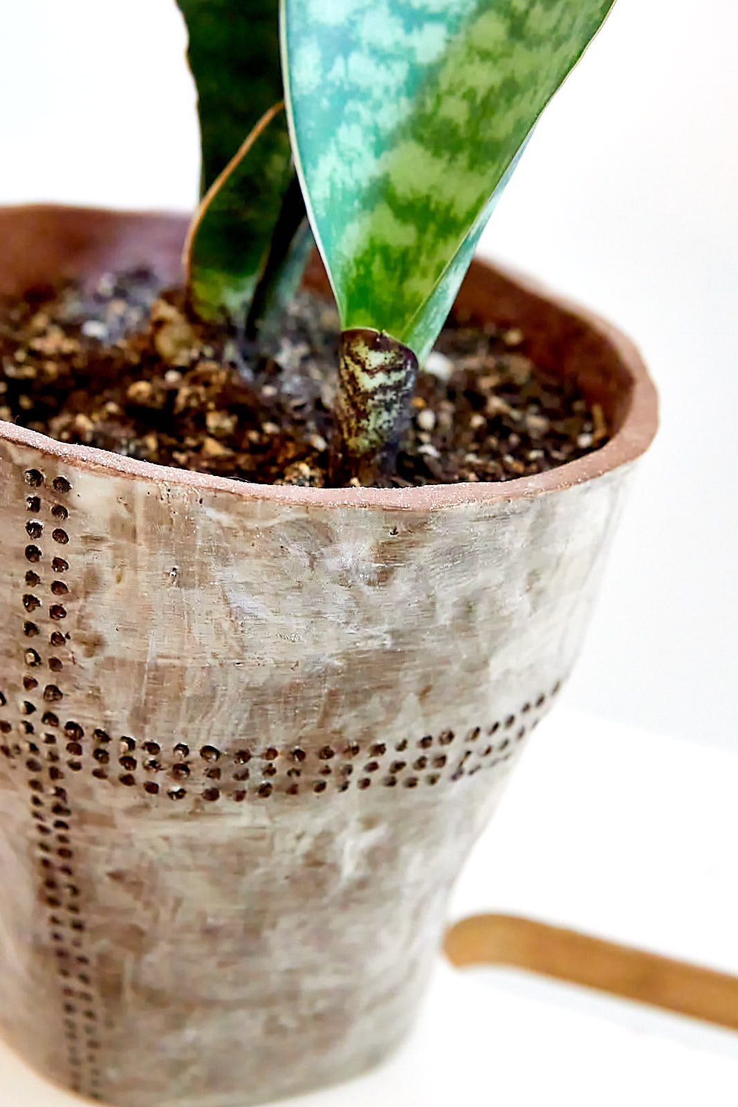 240628_CERAMICS_PLANTER007003.jpg
