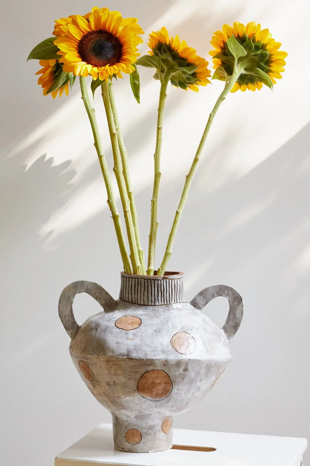 2500804_KERRISTUDIO_SPOTTED VASE_006.jpg