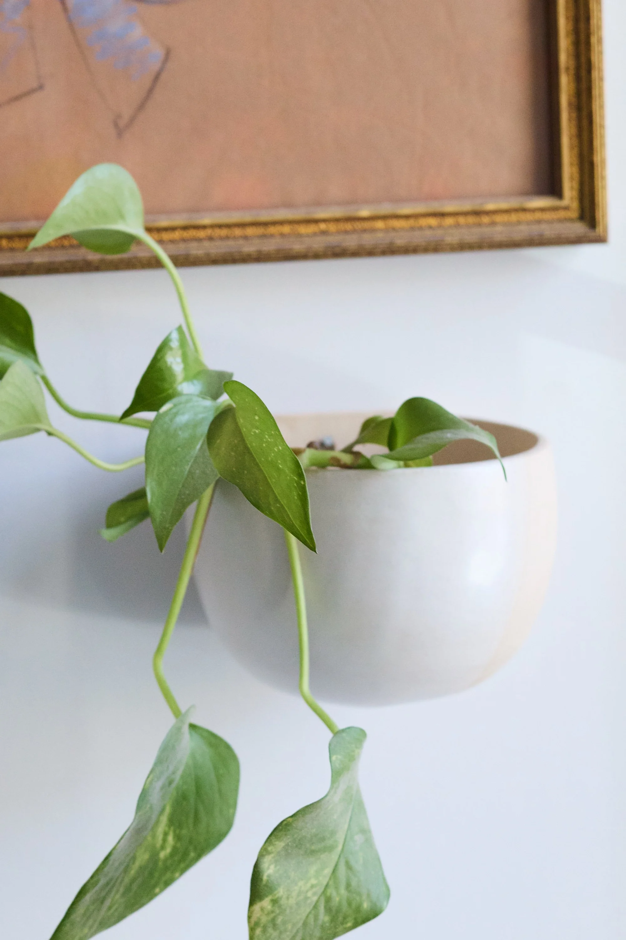 251118_KerriBrewerStudio_Franc 10.jpg