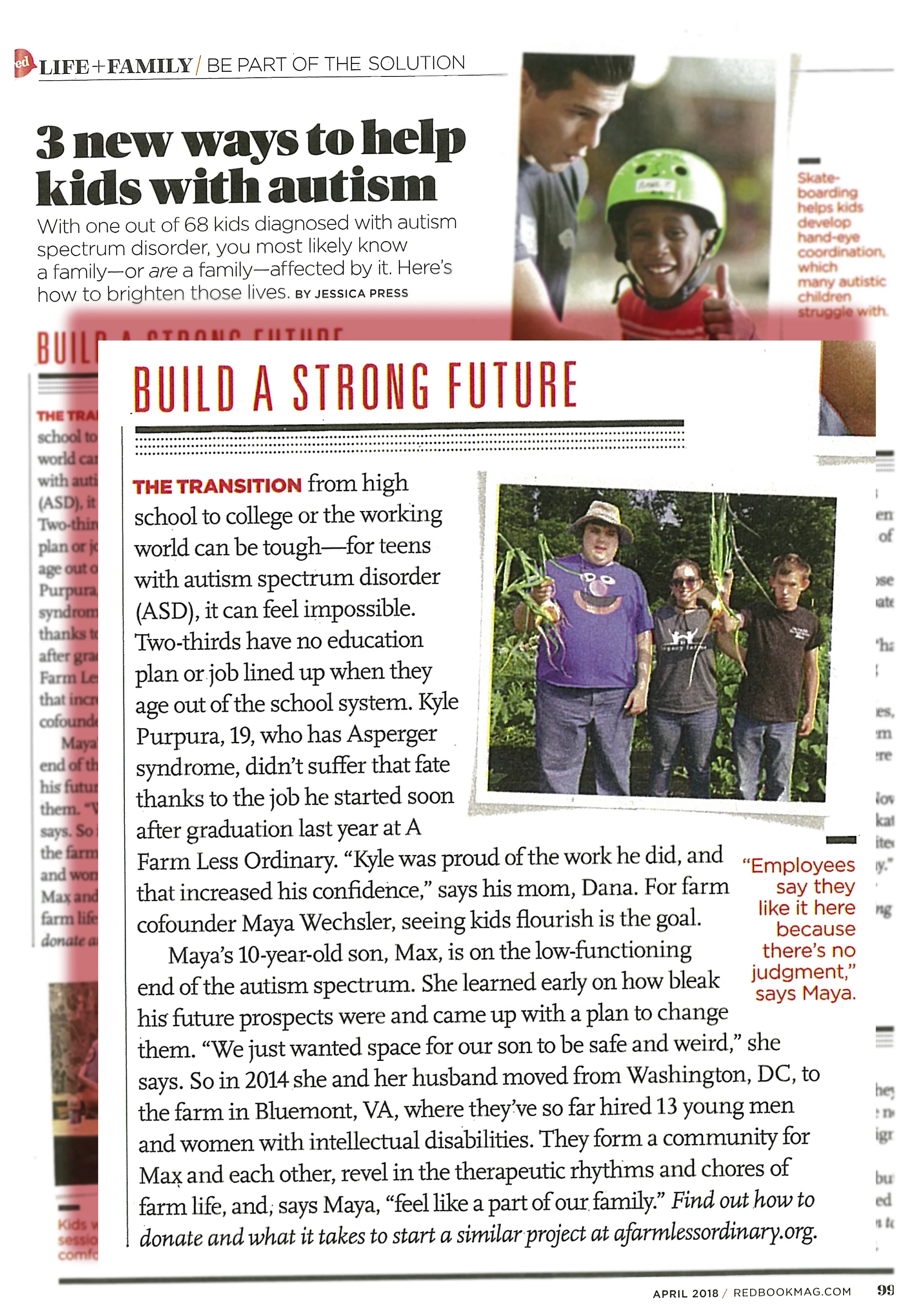 Click to view larger image of Redbook blurb.