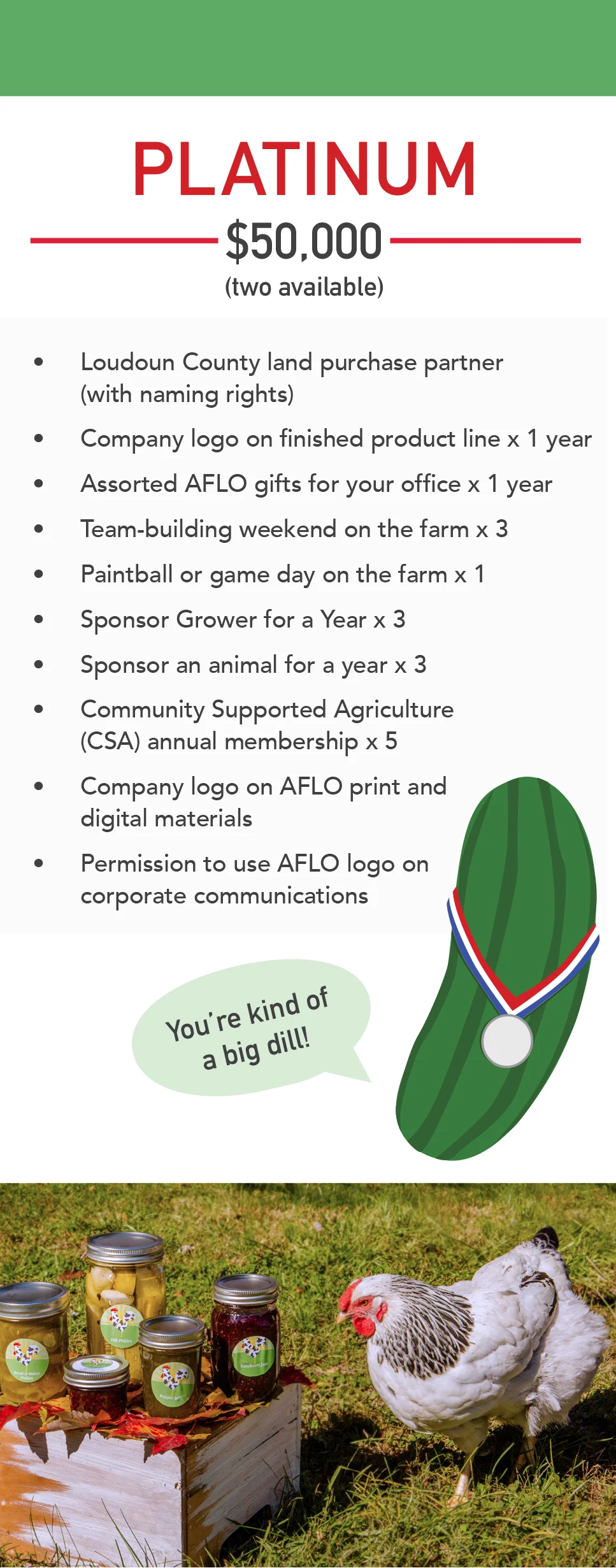 20190410_AFLO Brochure Platinum.jpg